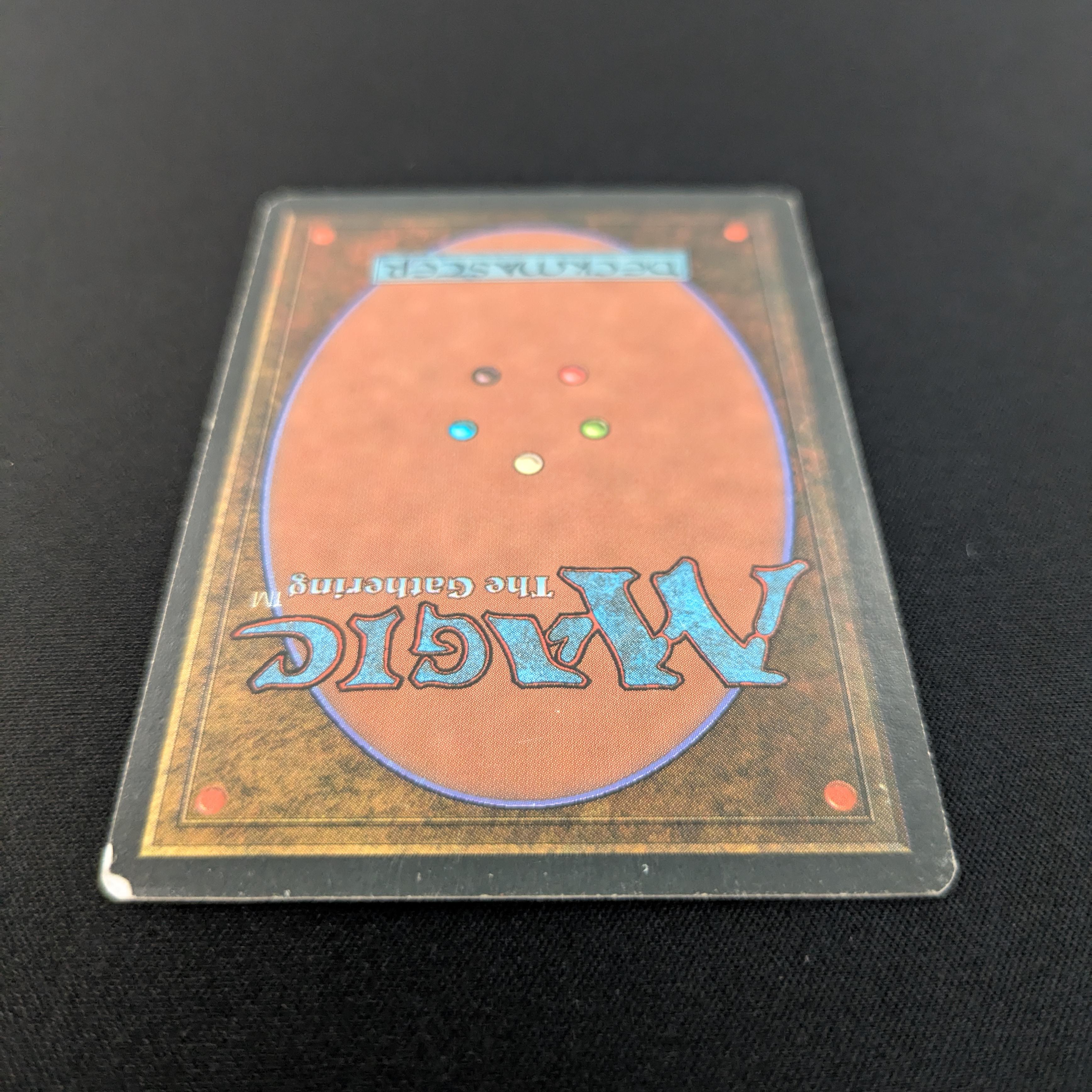 MTG Singles - Taiga - Foreign White Bordered - 