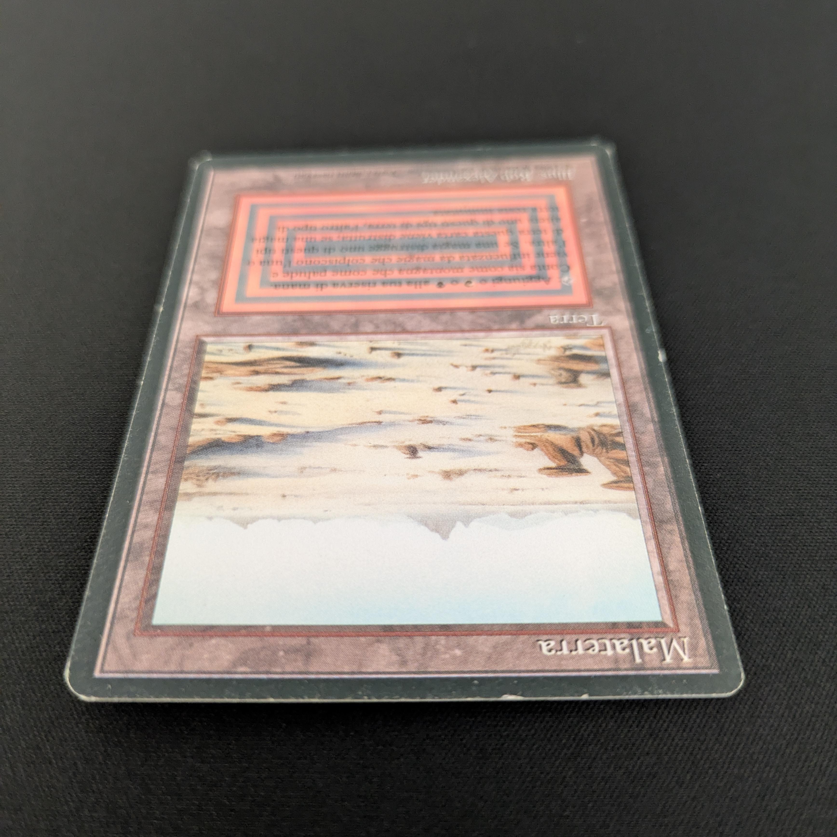 MTG Singles - Badlands - Foreign Black Bordered - 