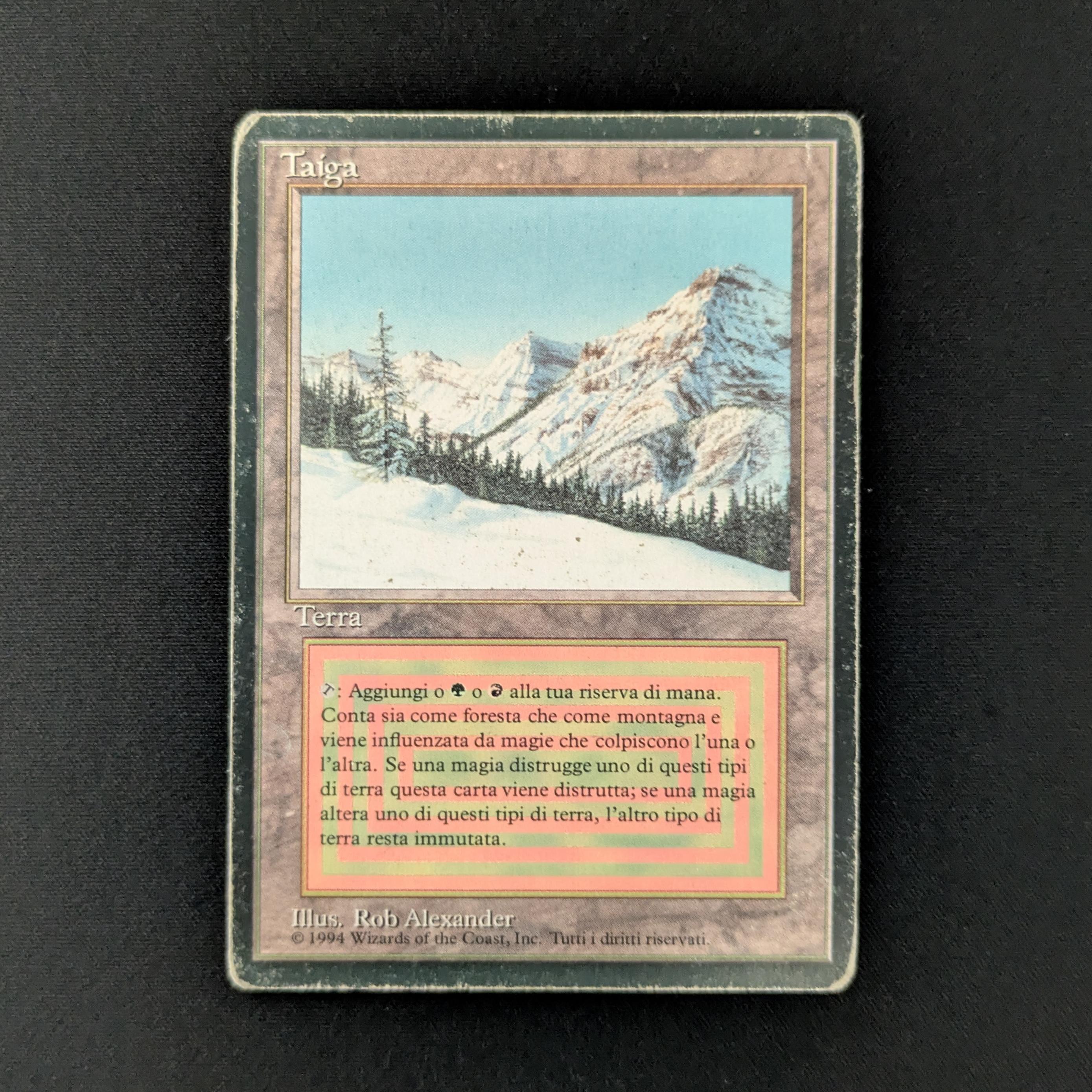 MTG Singles - Taiga - Foreign Black Bordered - 