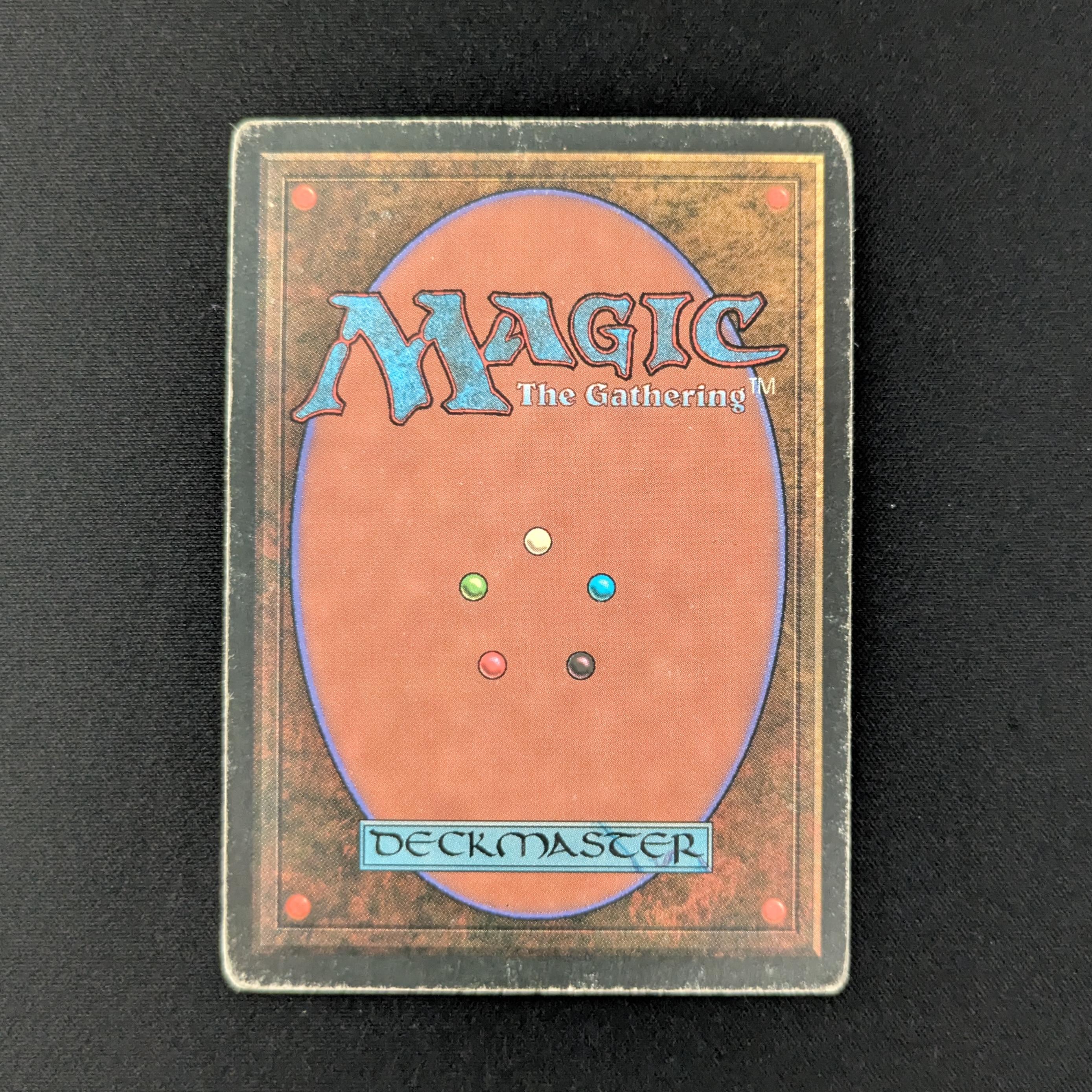 MTG Singles - Taiga - Foreign Black Bordered - 
