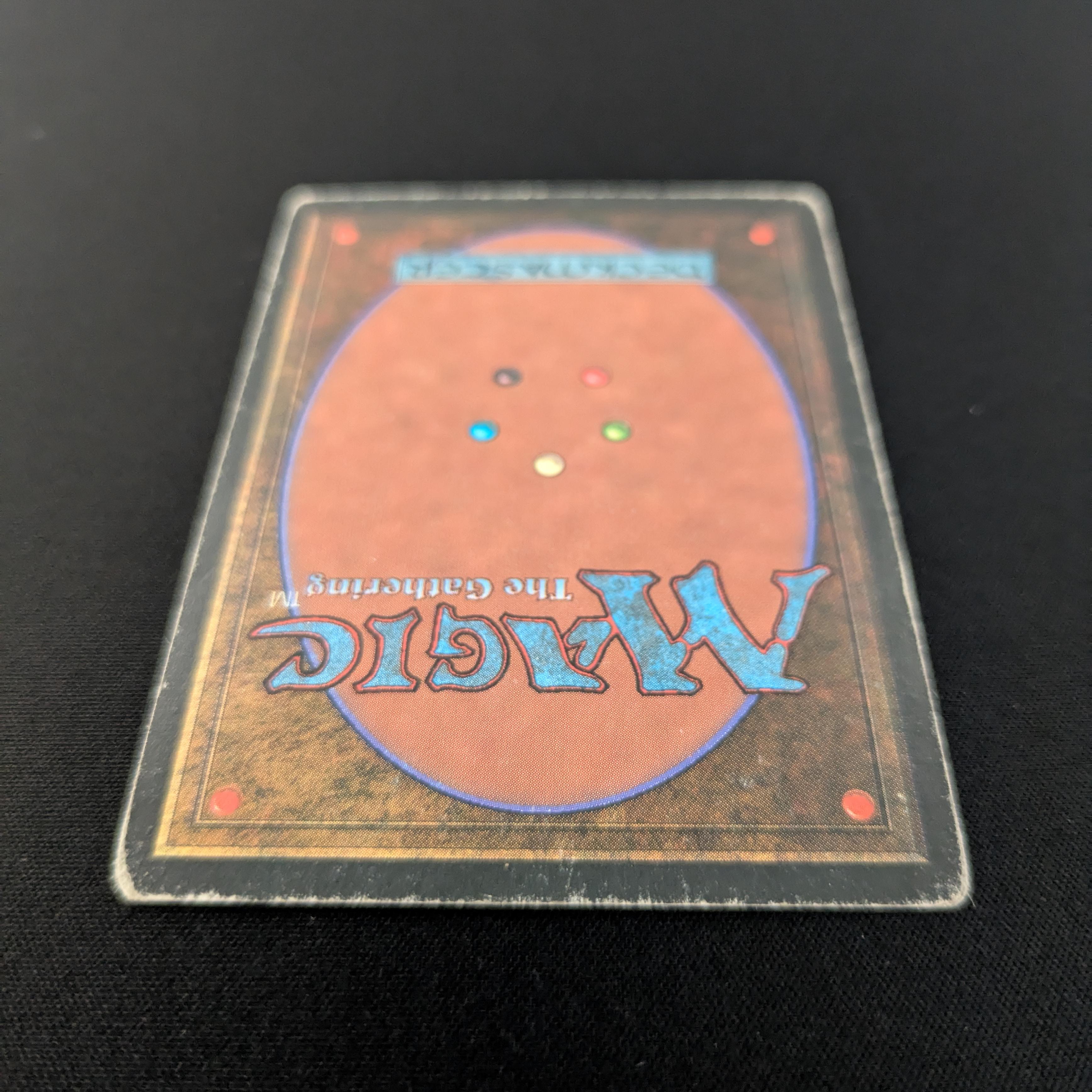 Taiga - Foreign Black Bordered
