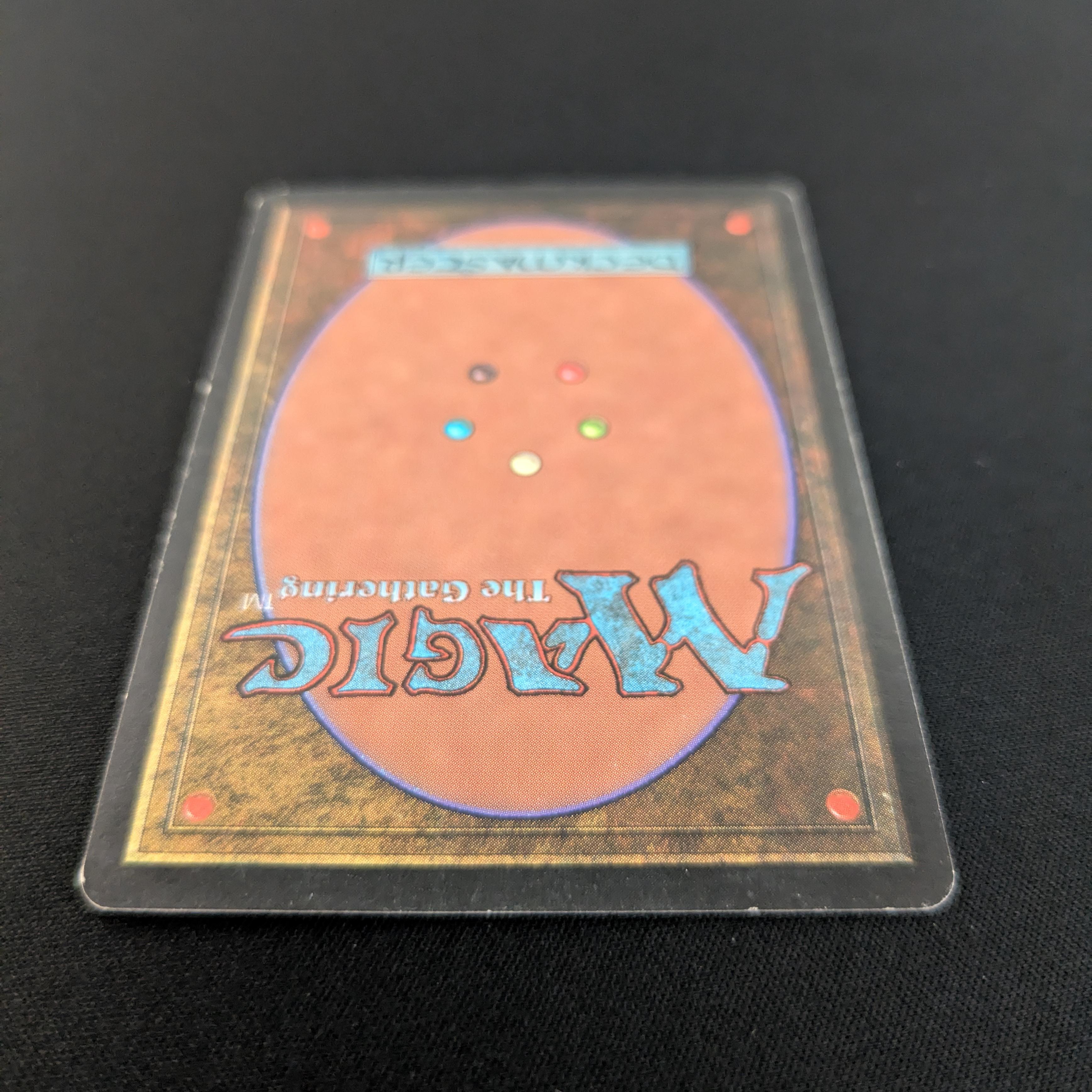 Survival of the Fittest - Exodus