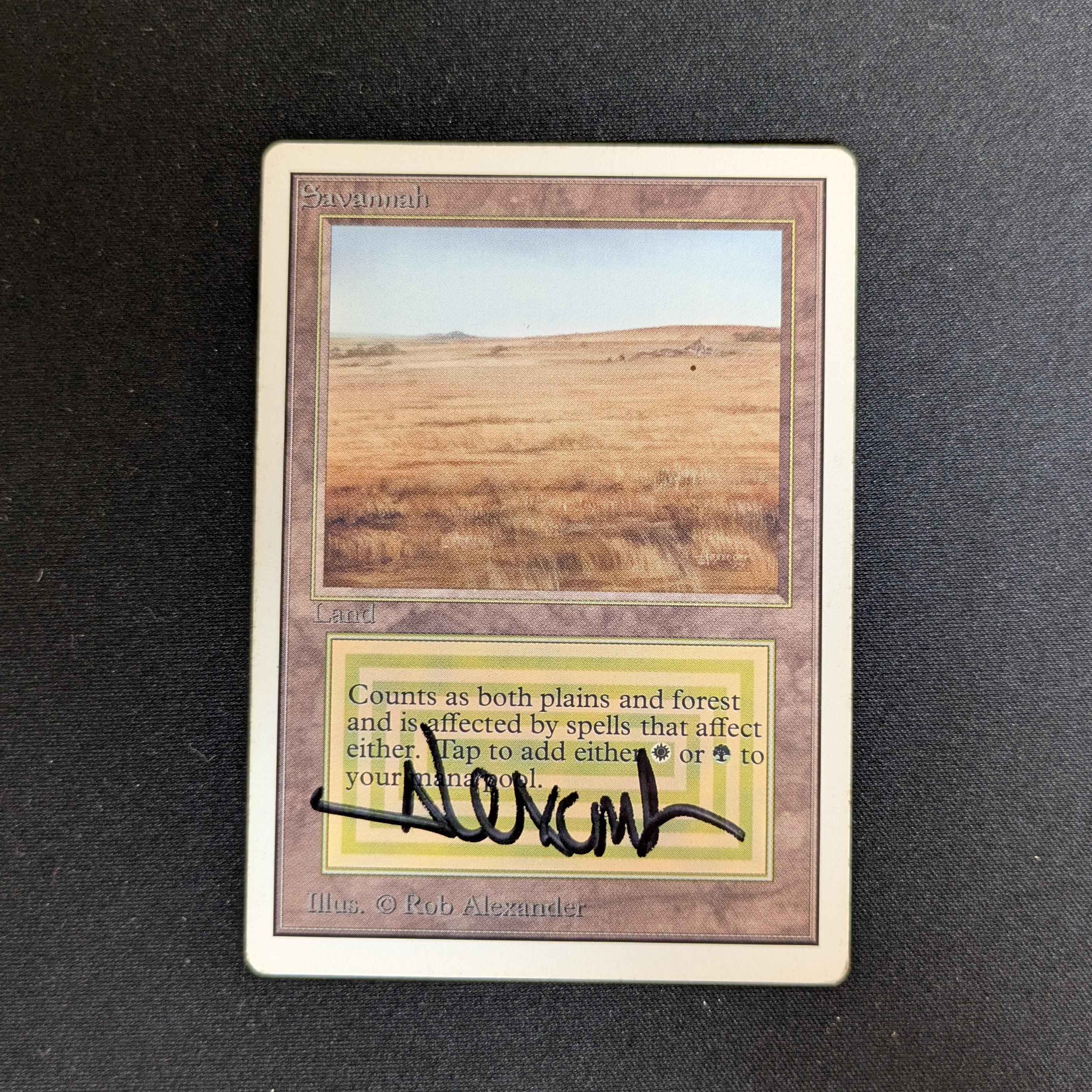 MTG Singles - Savannah - Unlimited - PL - SIGNED - 28236