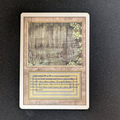 マジック：ザ・ギャザリング Bayou 3ed Revised マジック：ザ・ギャザリング mtg Bayou Bayou | 3rd Edition / Revised