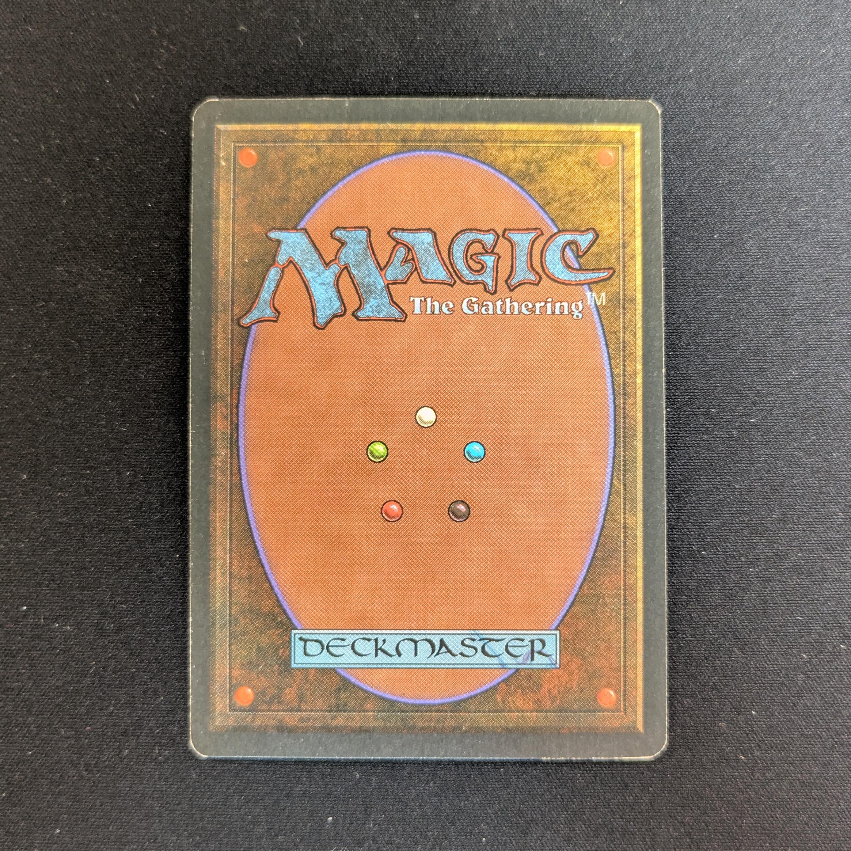 MTG Singles - Taiga - Revised - 