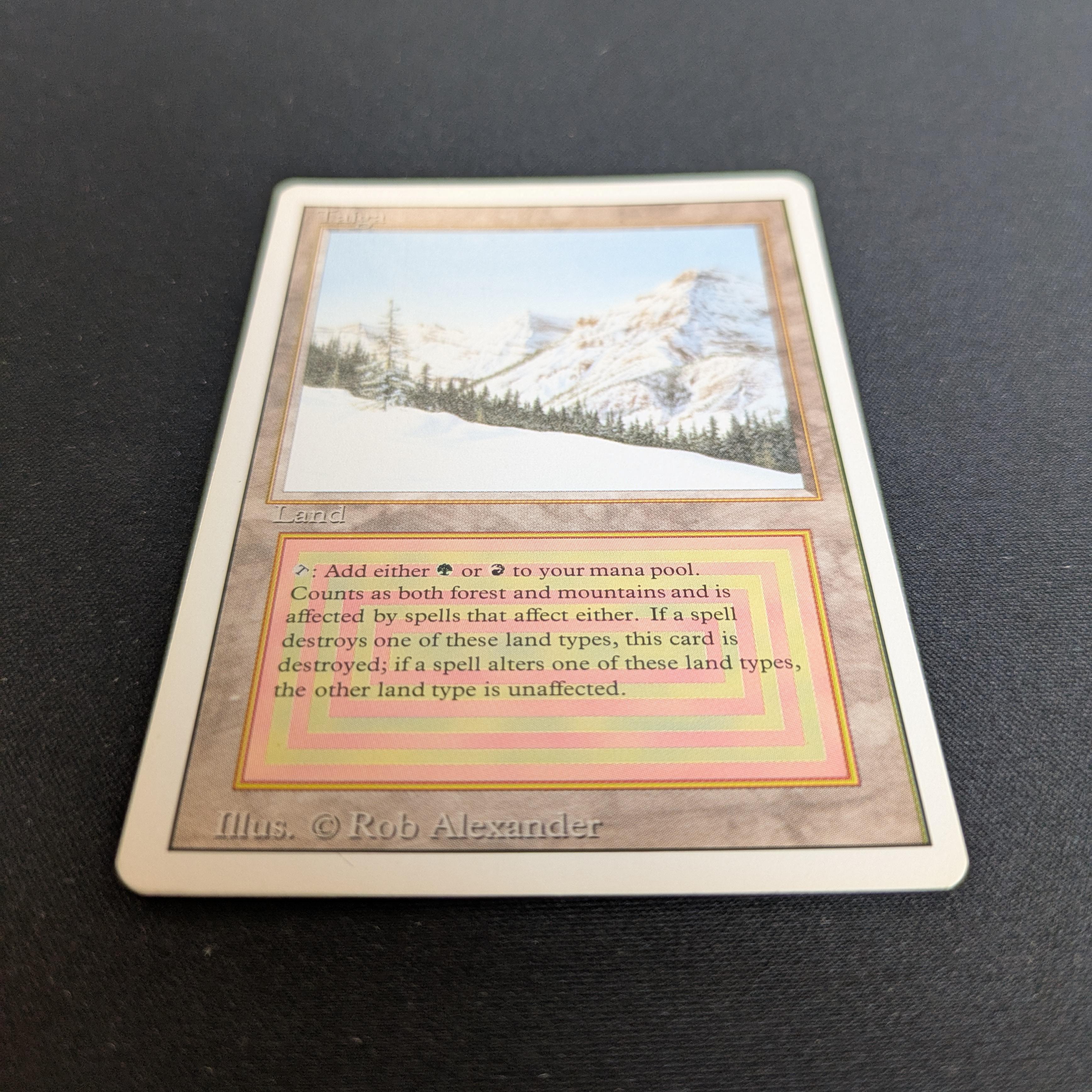 MTG Singles - Taiga - Revised - 