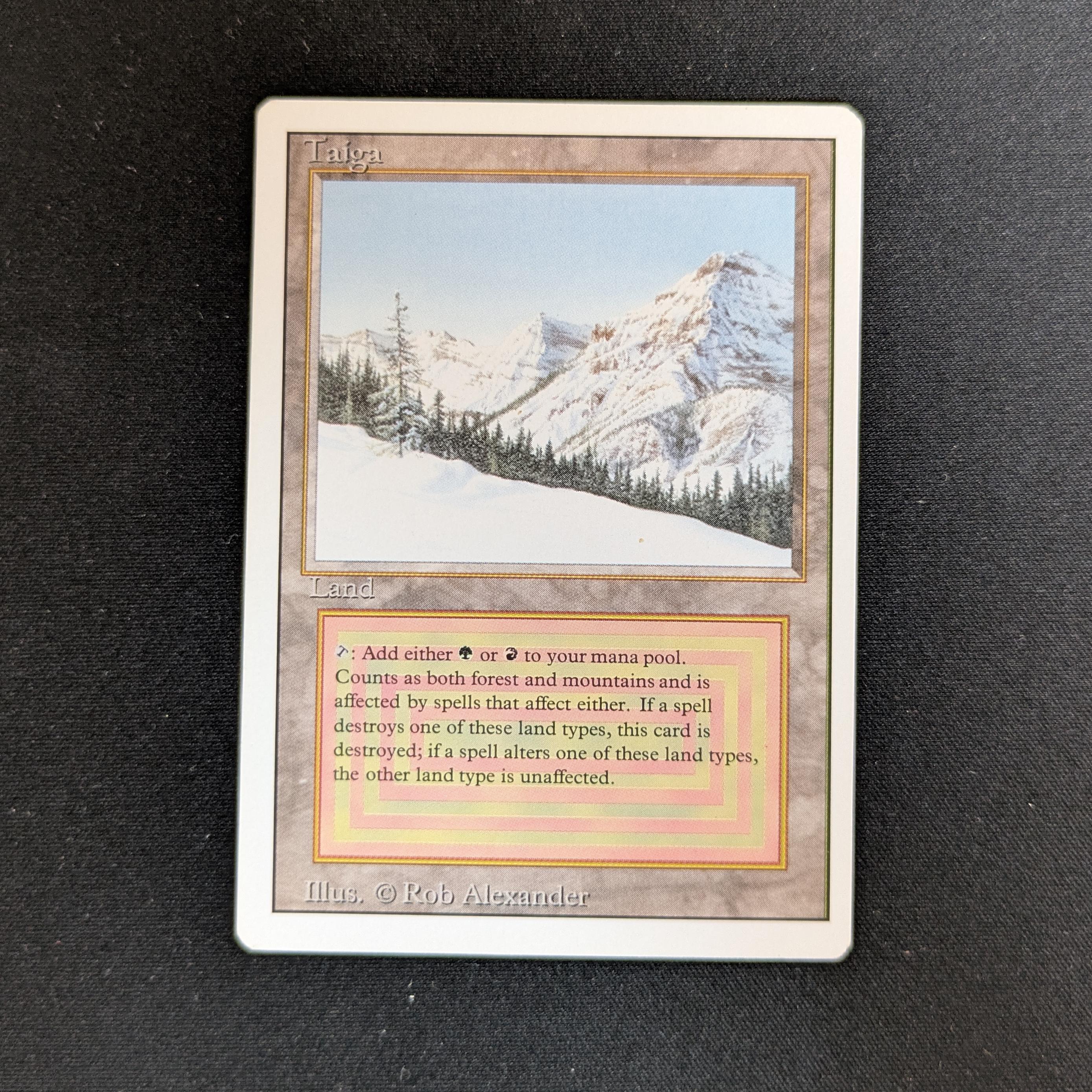 MTG Singles - Taiga - Revised - GD - 28270
