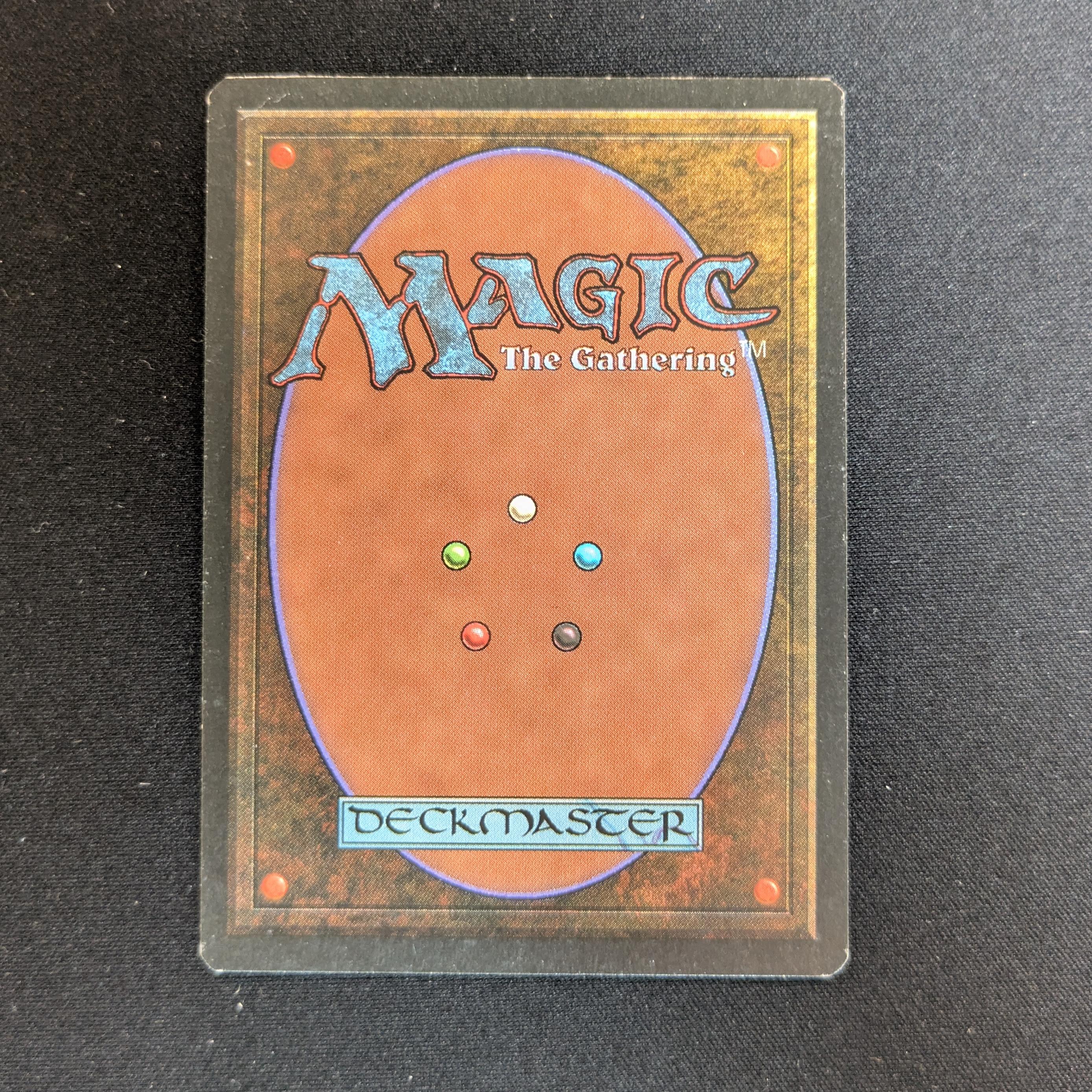 MTG Singles - Taiga - Revised - 