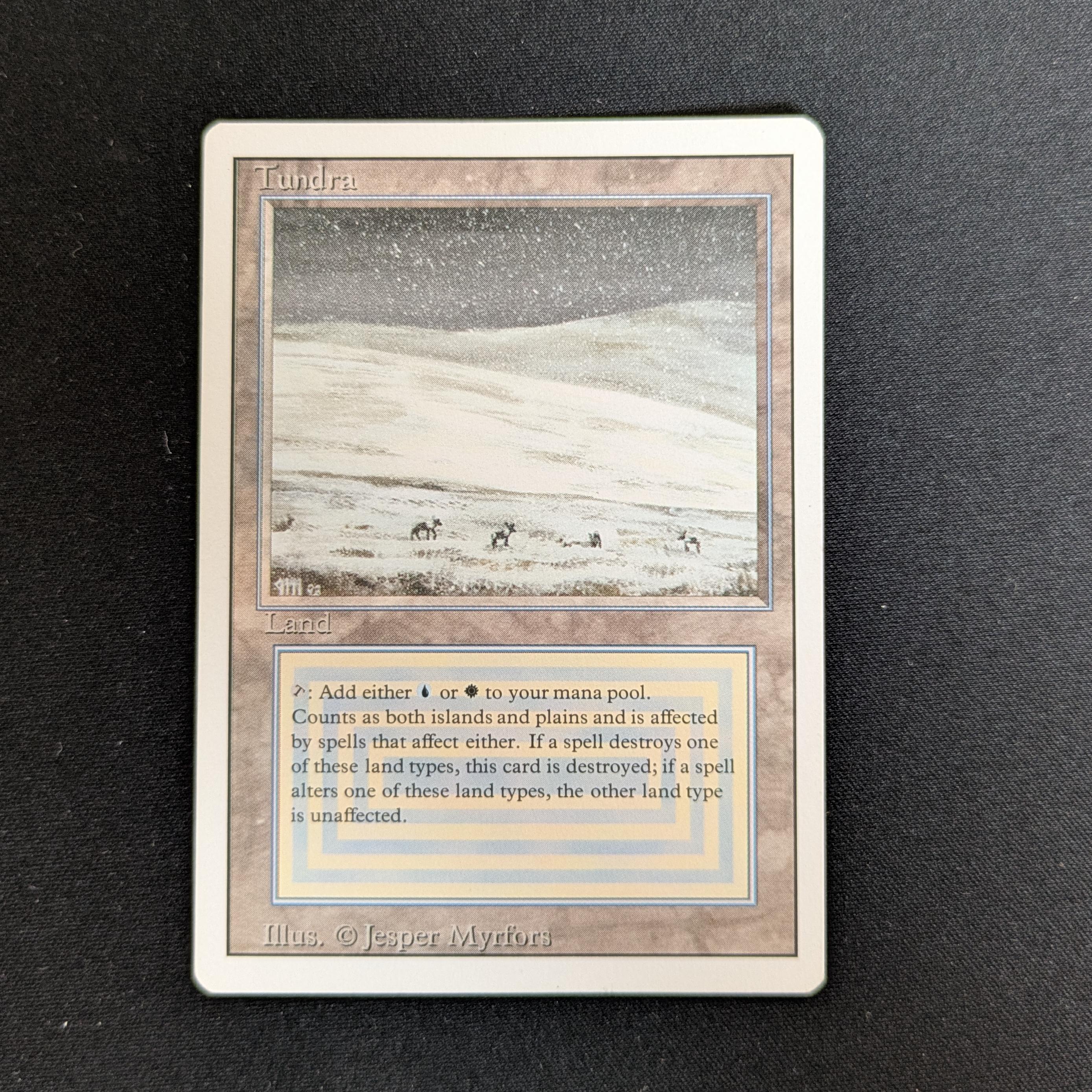 MTG Singles - Tundra - Revised - 