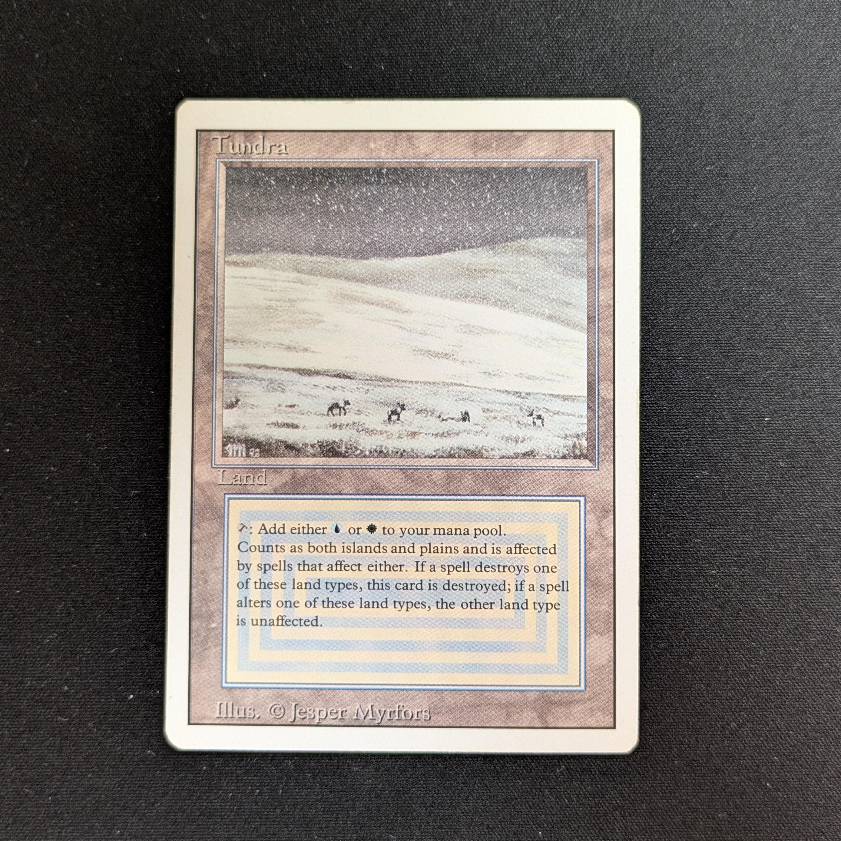 MTG Singles - Tundra - Revised - LP - 28274