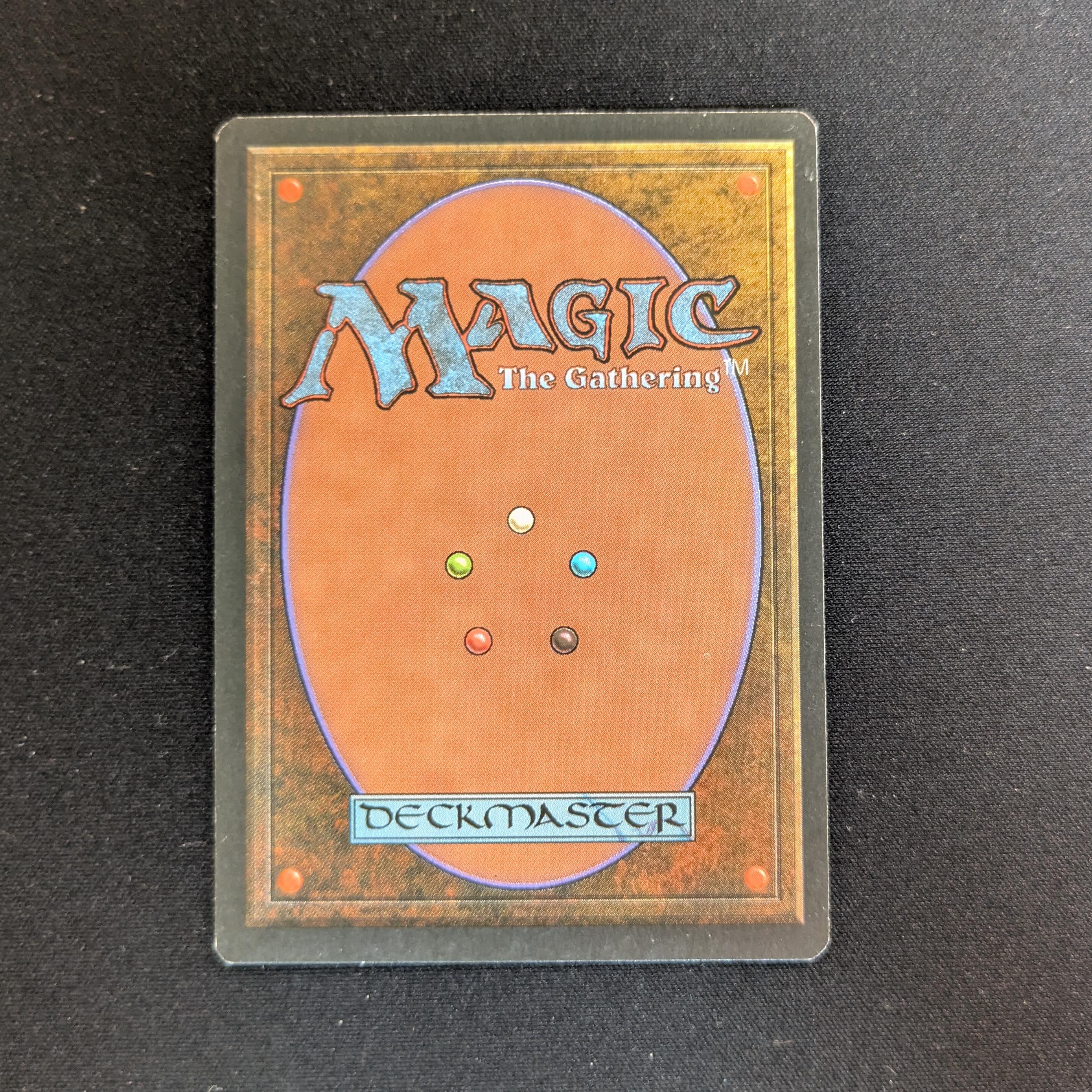 MTG Singles - Taiga - Foreign Black Bordered - 