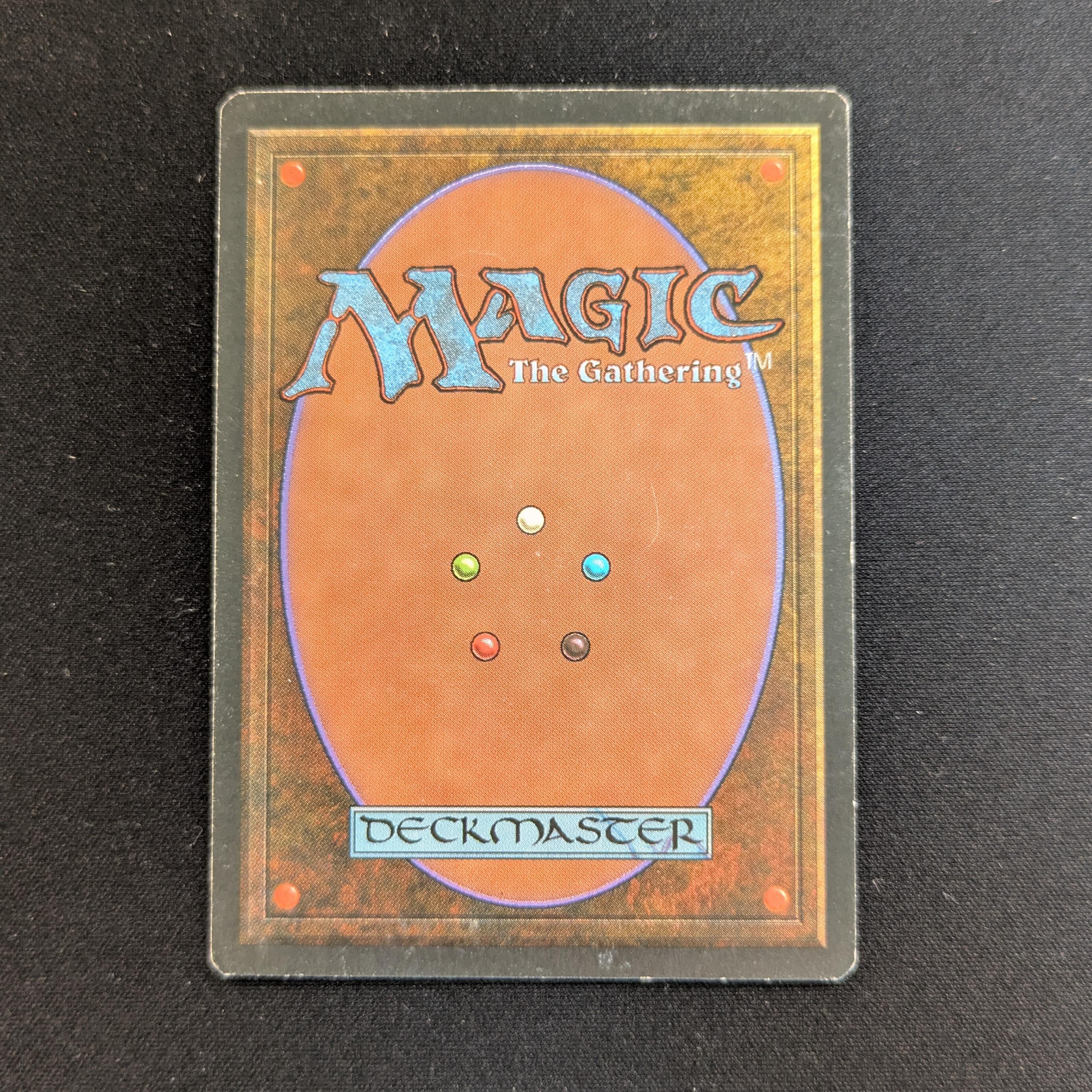 MTG Singles - Tundra - Foreign Black Bordered - 