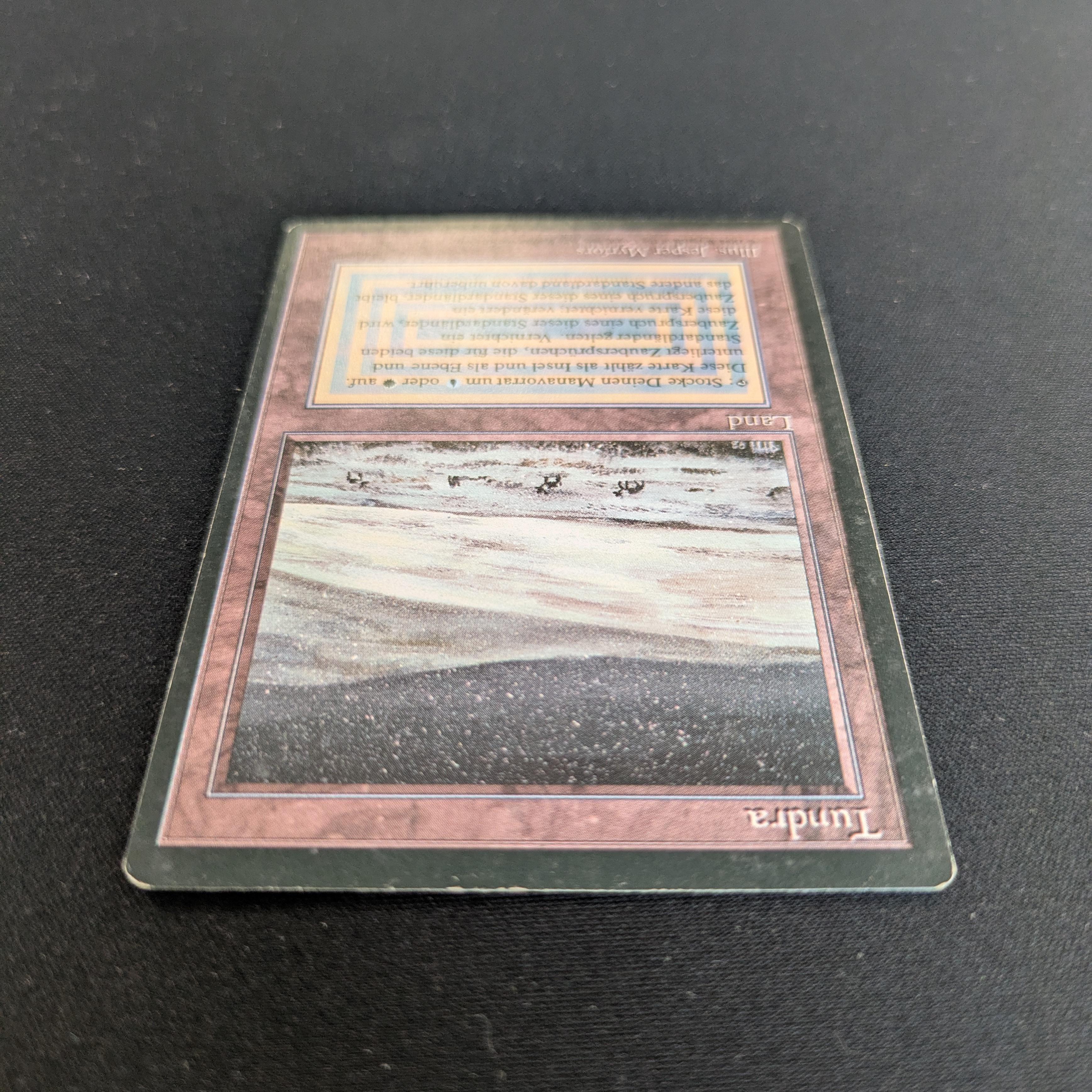 MTG Singles - Tundra - Foreign Black Bordered - 