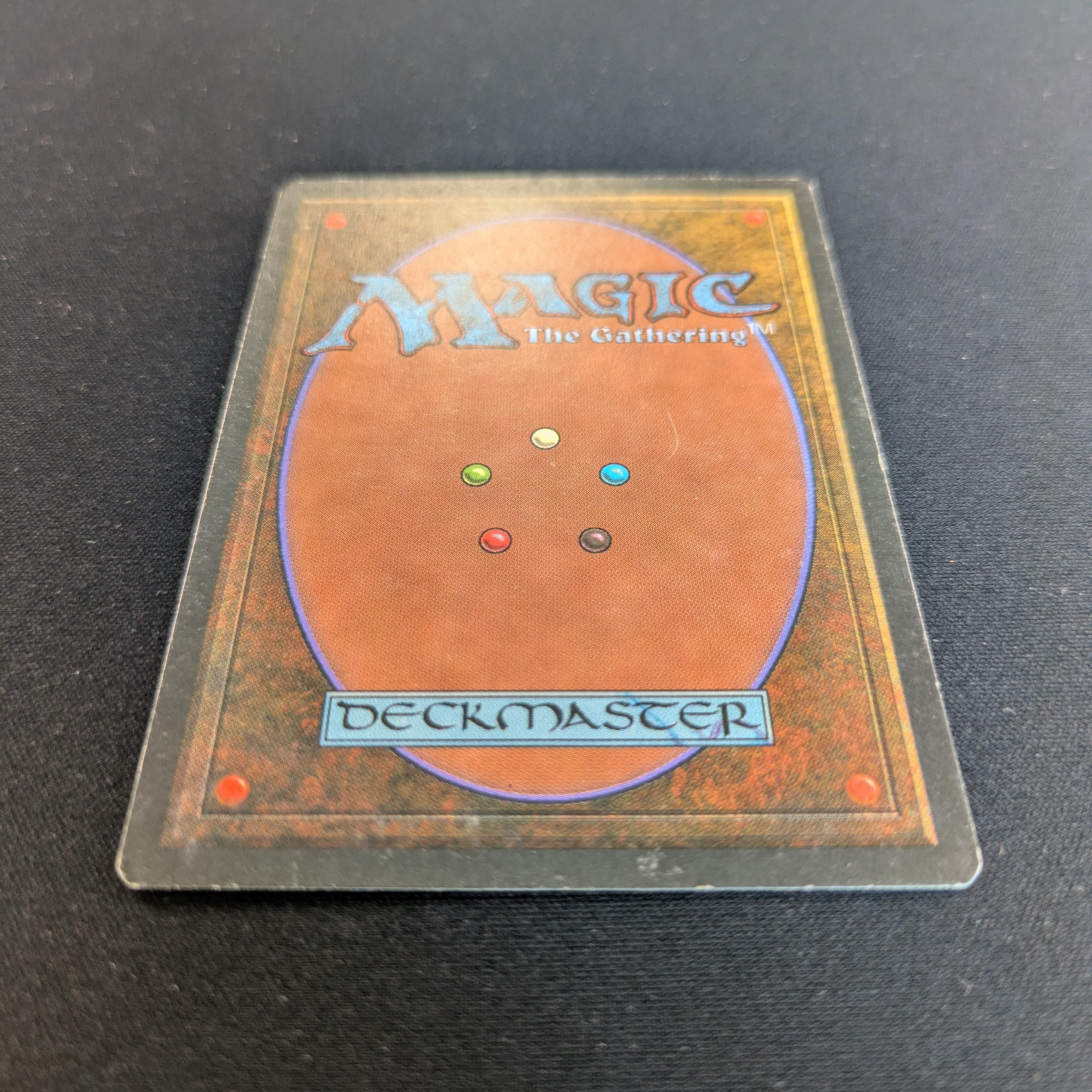MTG Singles - Tundra - Foreign Black Bordered - 