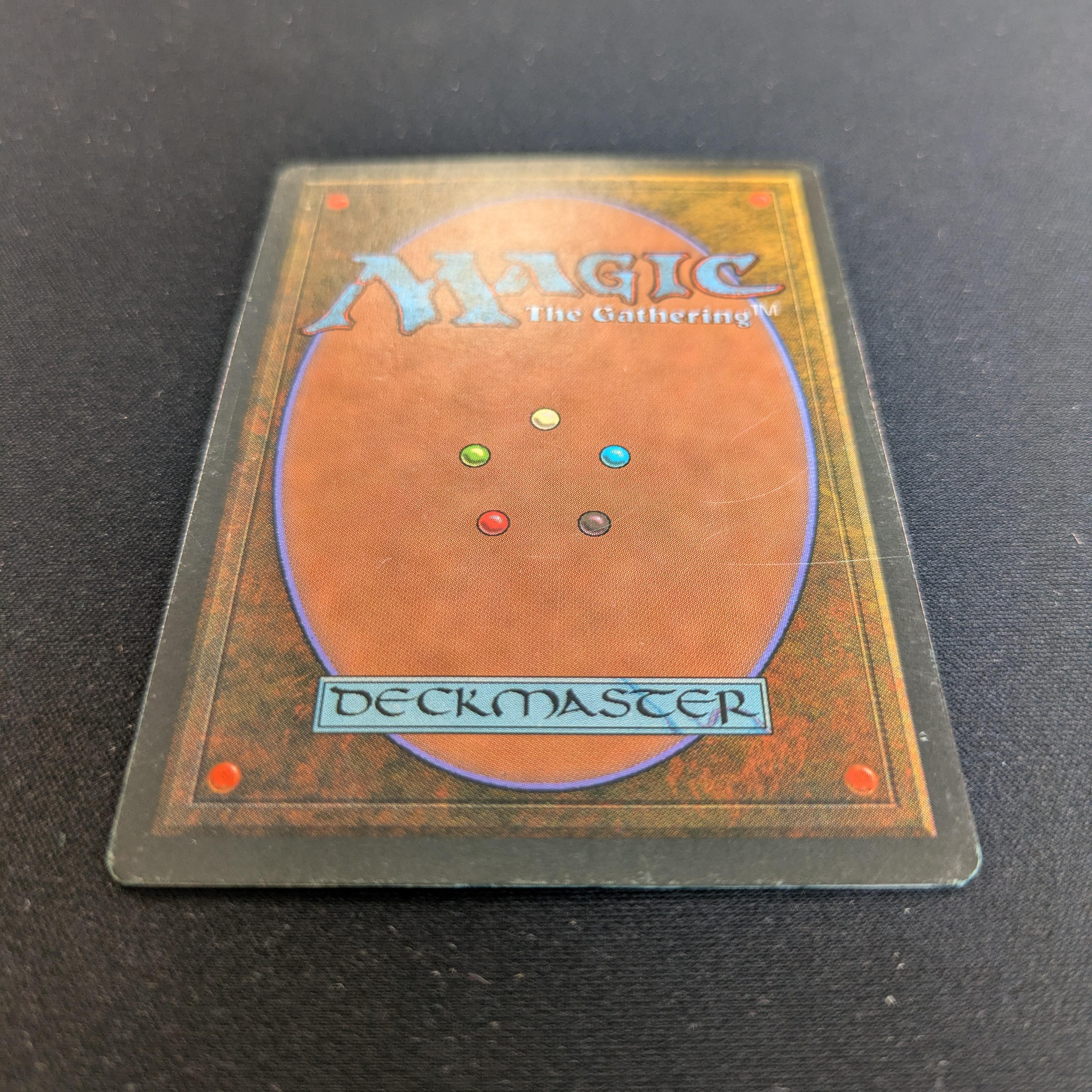 MTG Singles - Tundra - Foreign Black Bordered - 
