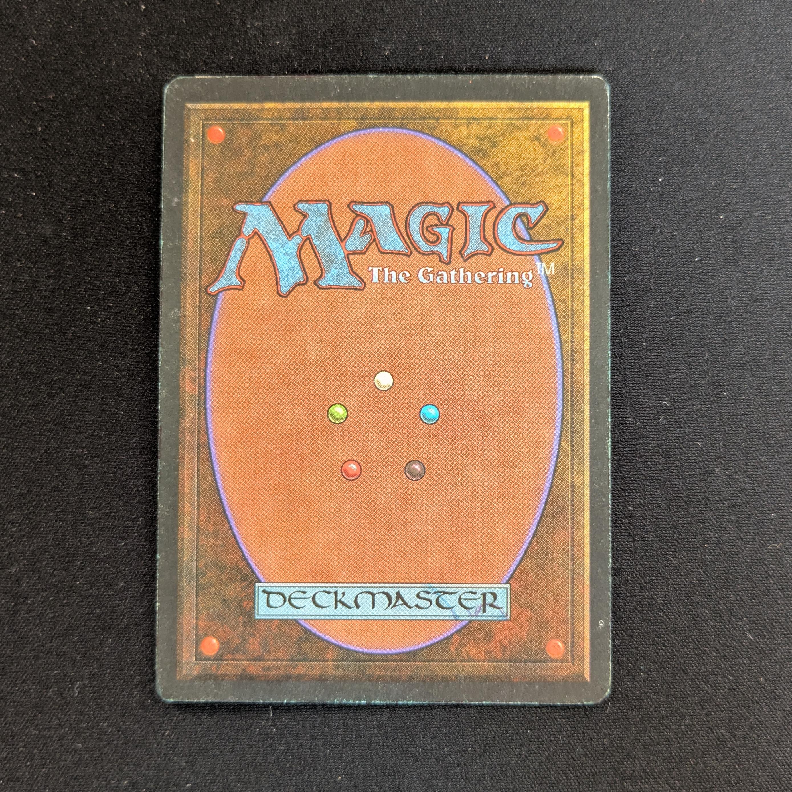 MTG Singles - Tundra - Foreign Black Bordered - 