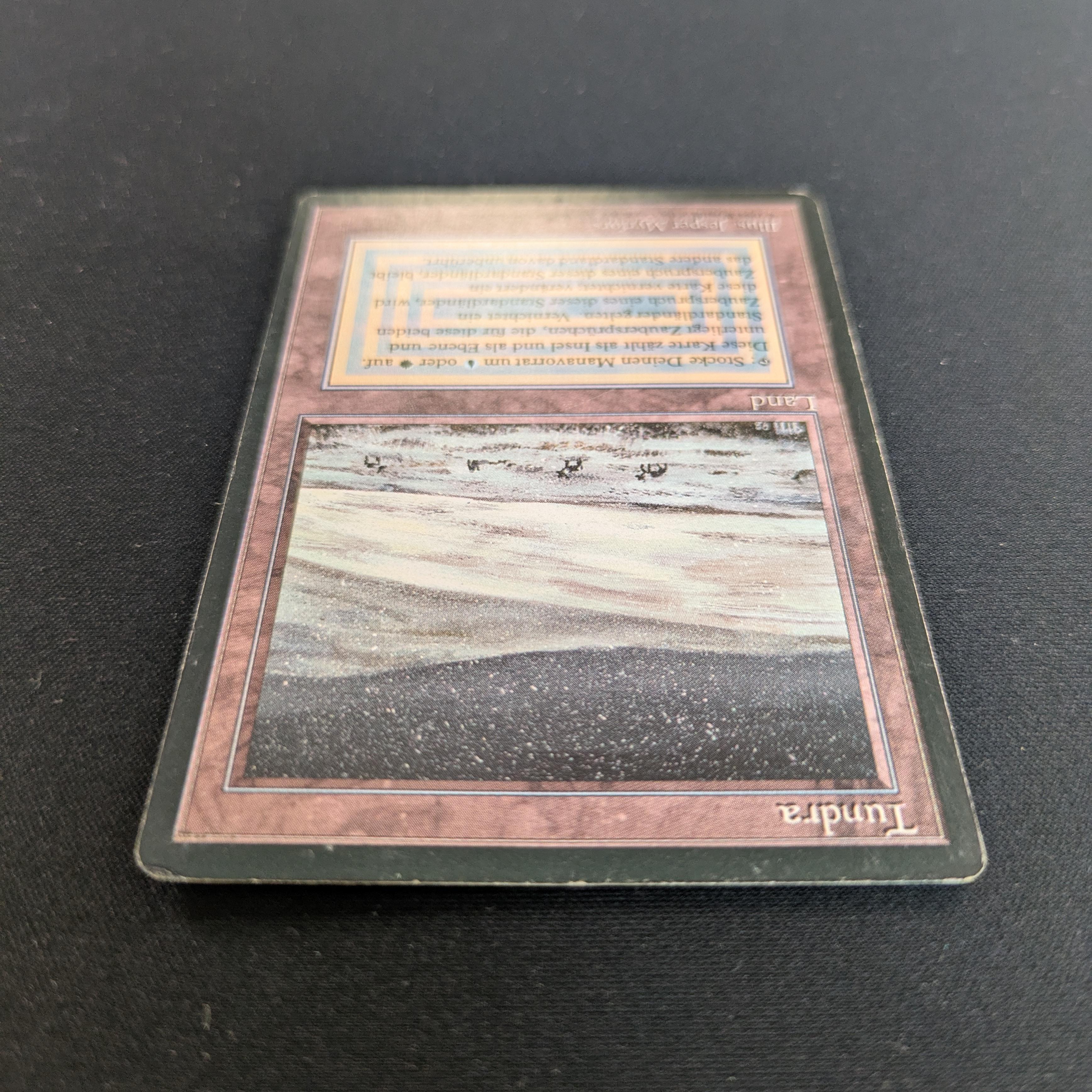 MTG Singles - Tundra - Foreign Black Bordered - 