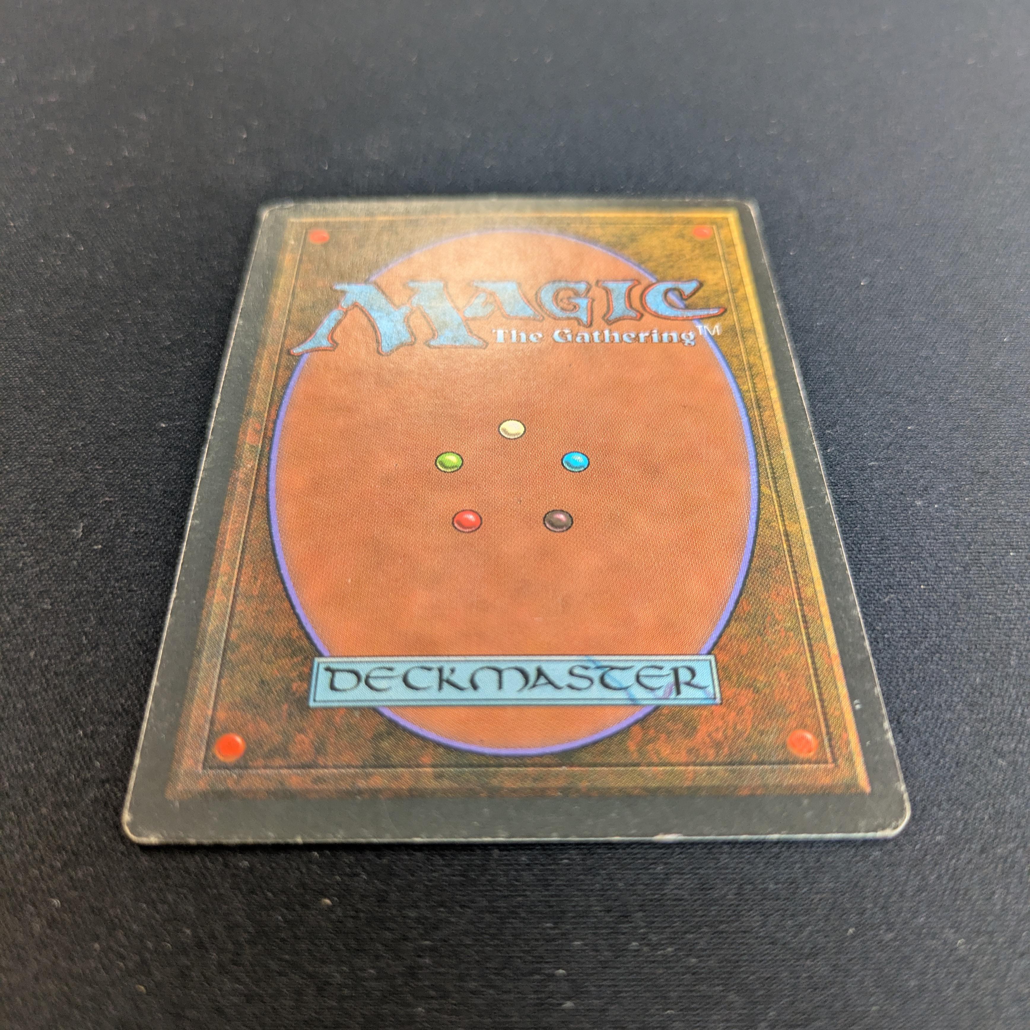 MTG Singles - Tundra - Foreign Black Bordered - 
