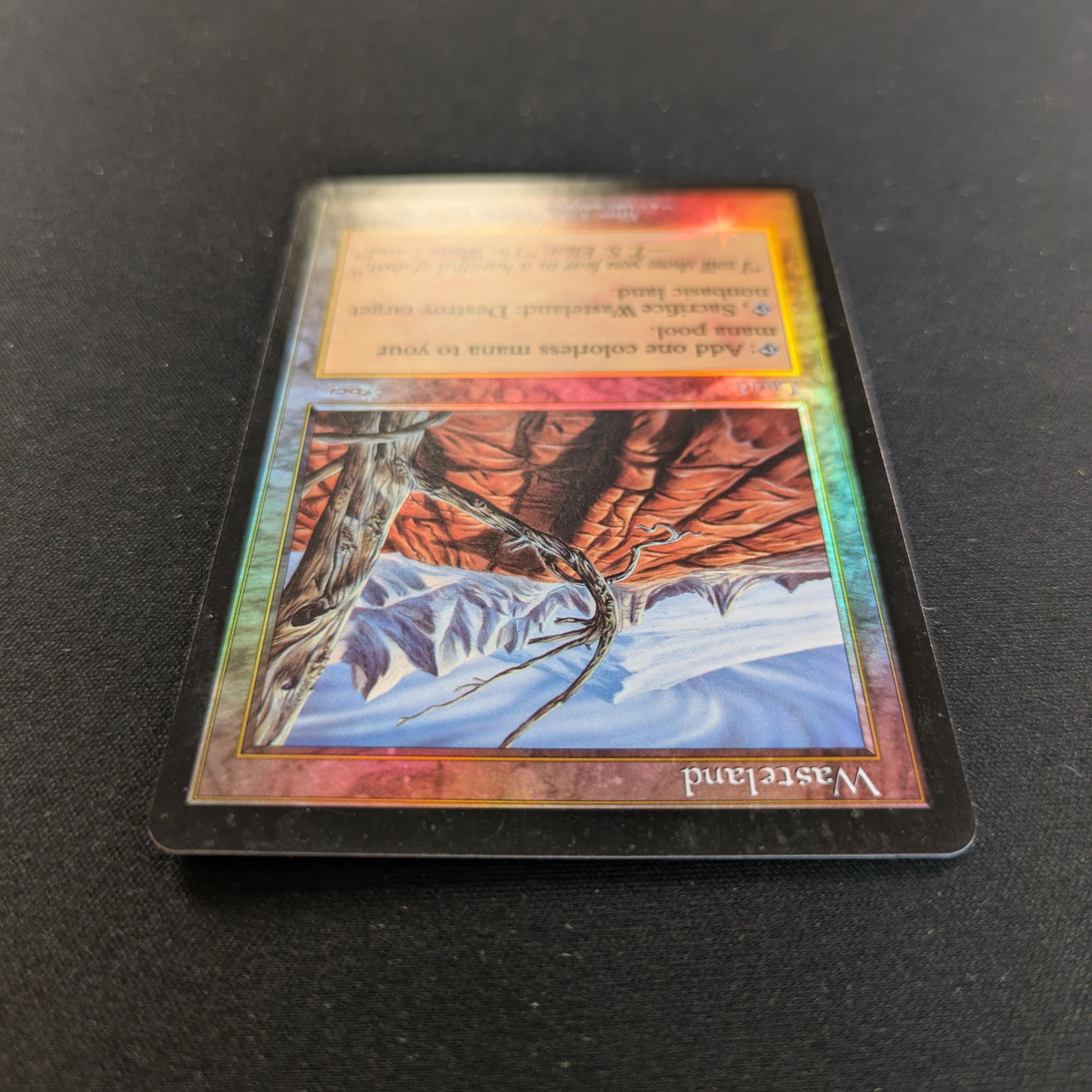 MTG Singles - [FOIL] Wasteland - Player Rewards Promos - EX - 