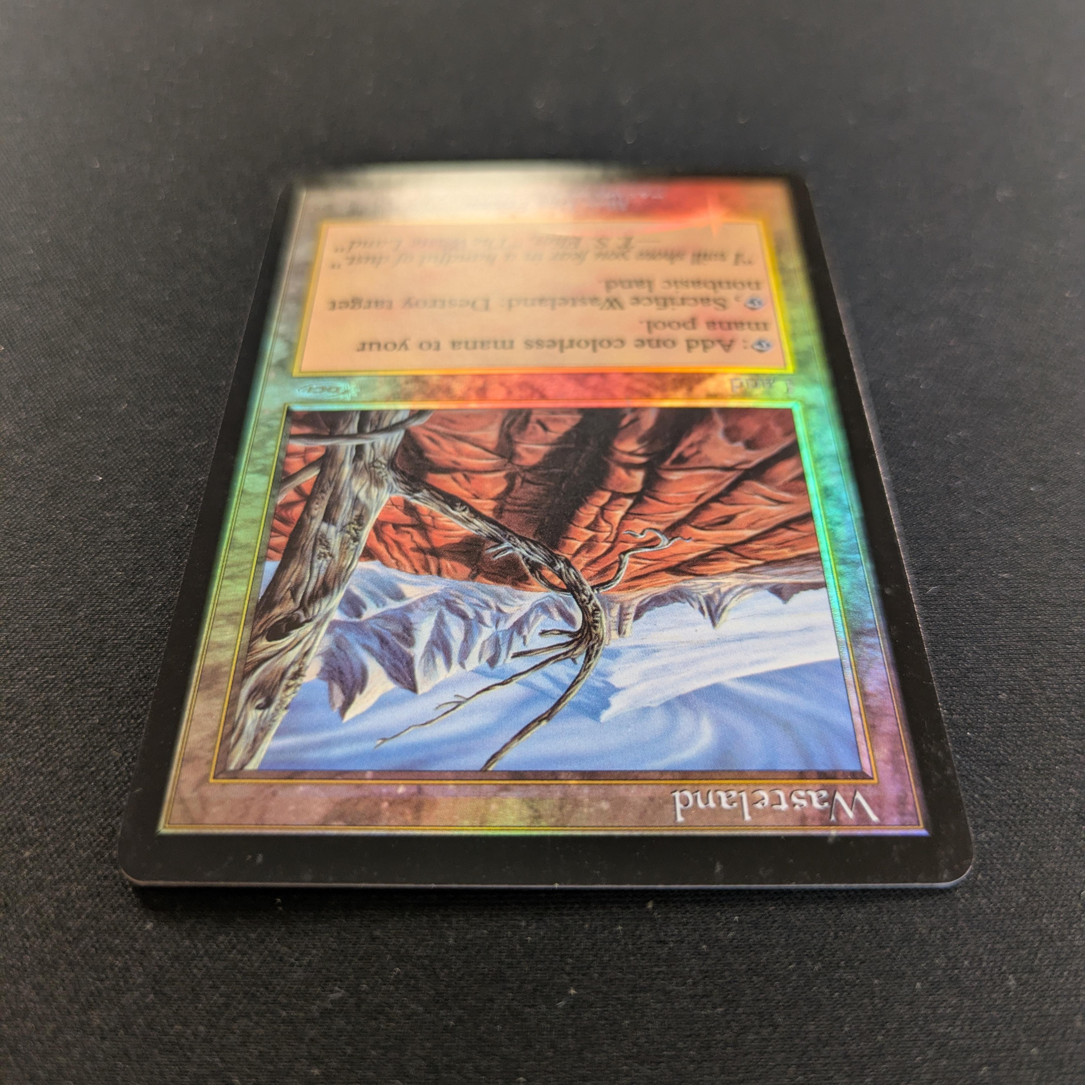 MTG Singles - [FOIL] Wasteland - Player Rewards Promos - EX, ROLLER LINE - 