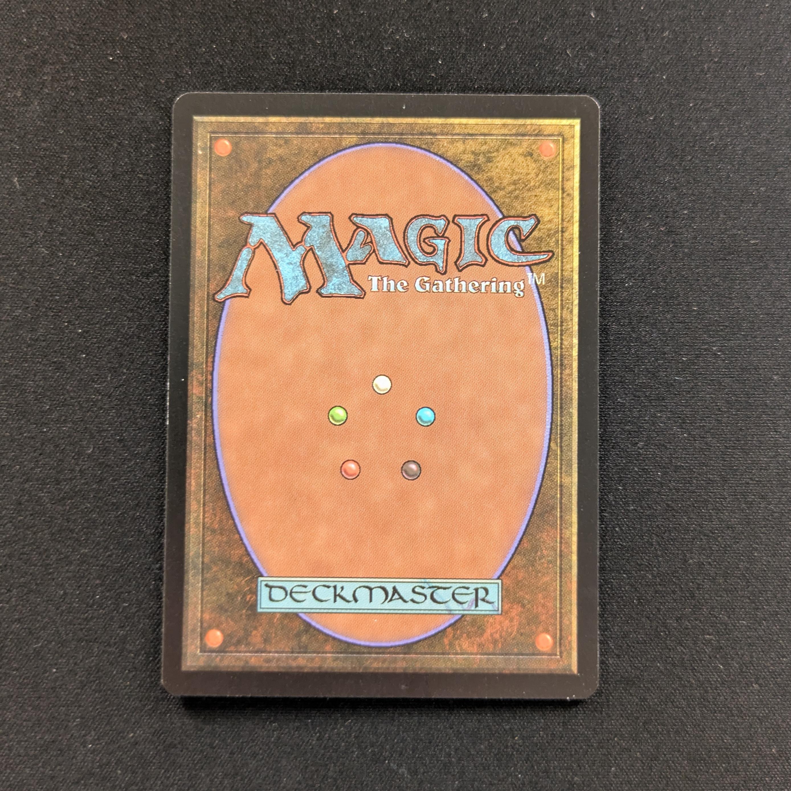 MTG Singles - Swamp - Guru Lands - EX - 