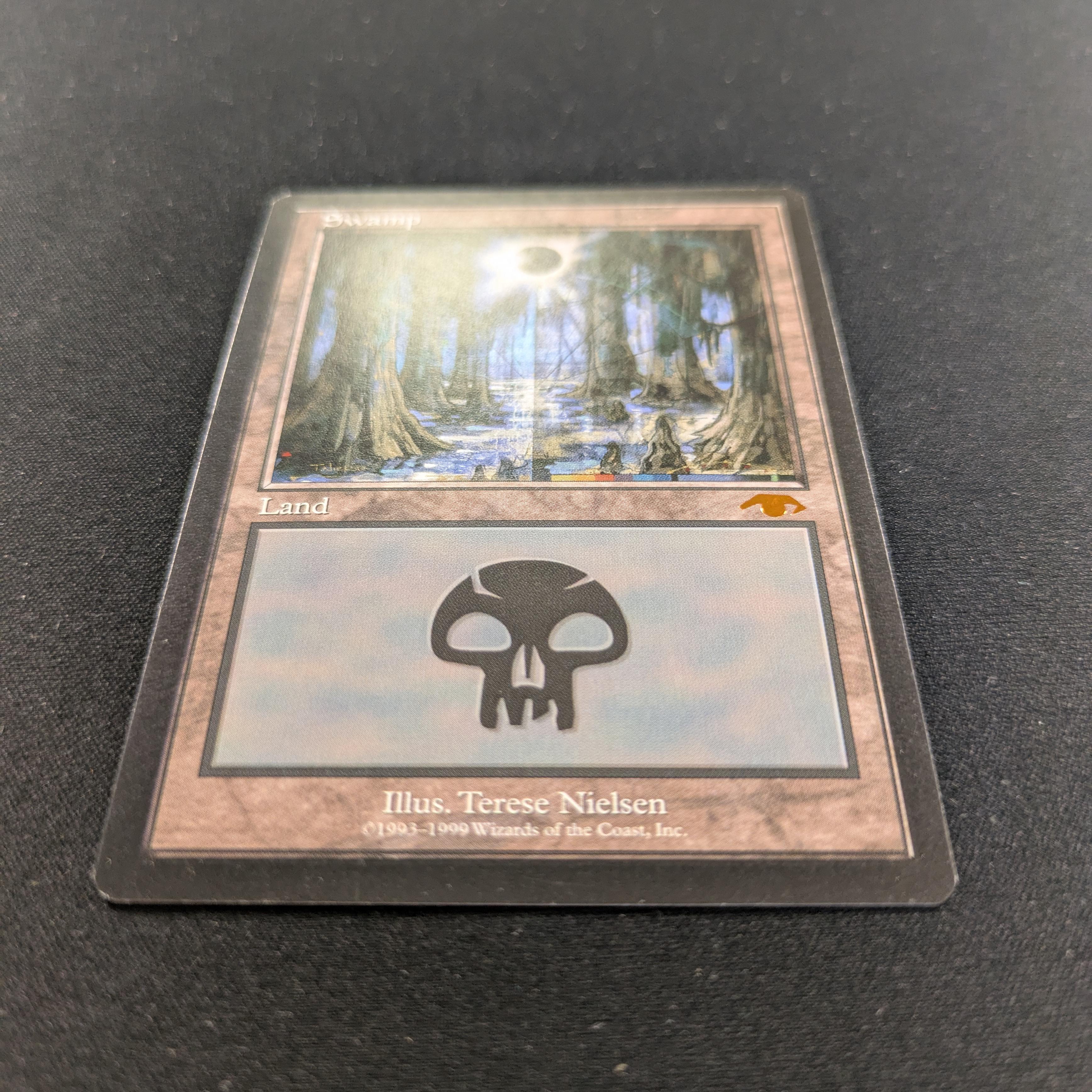 MTG Singles - Swamp - Guru Lands - EX - 