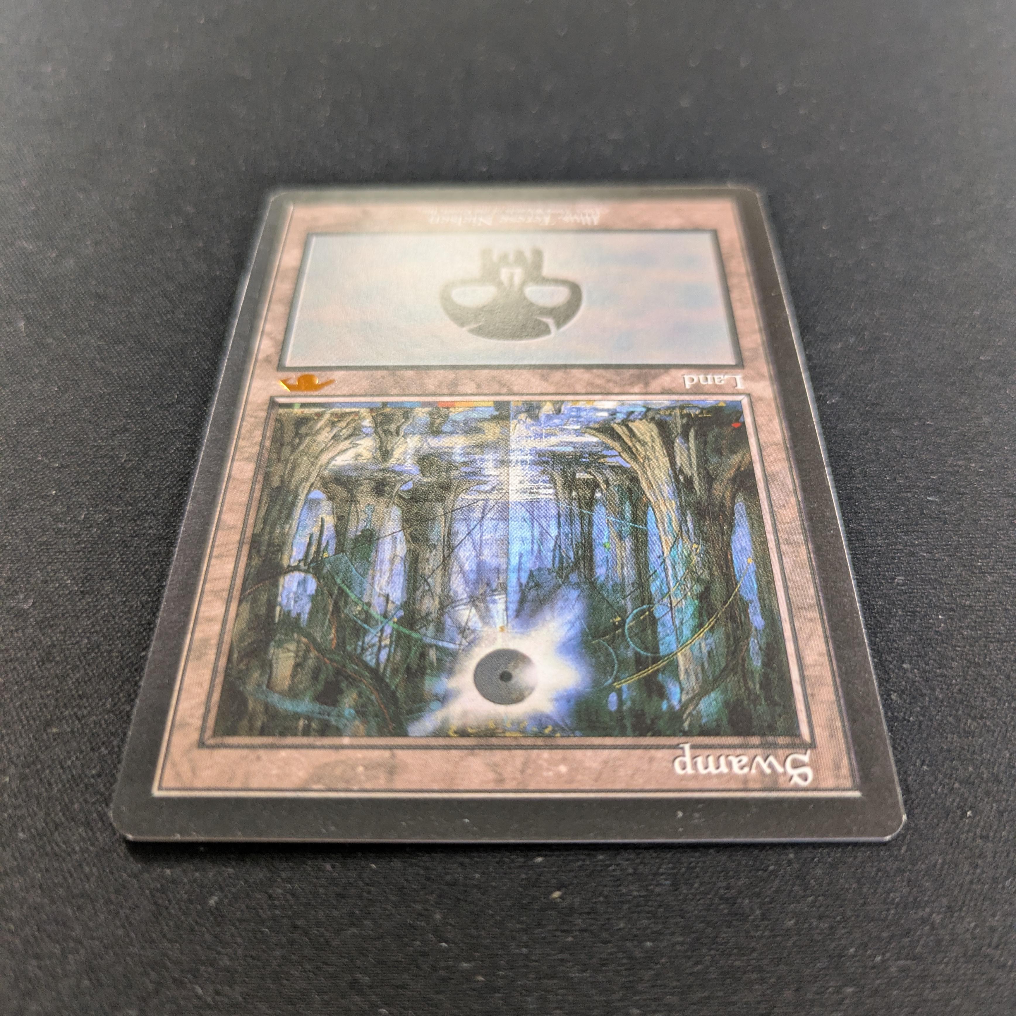 MTG Singles - Swamp - Guru Lands - EX - 