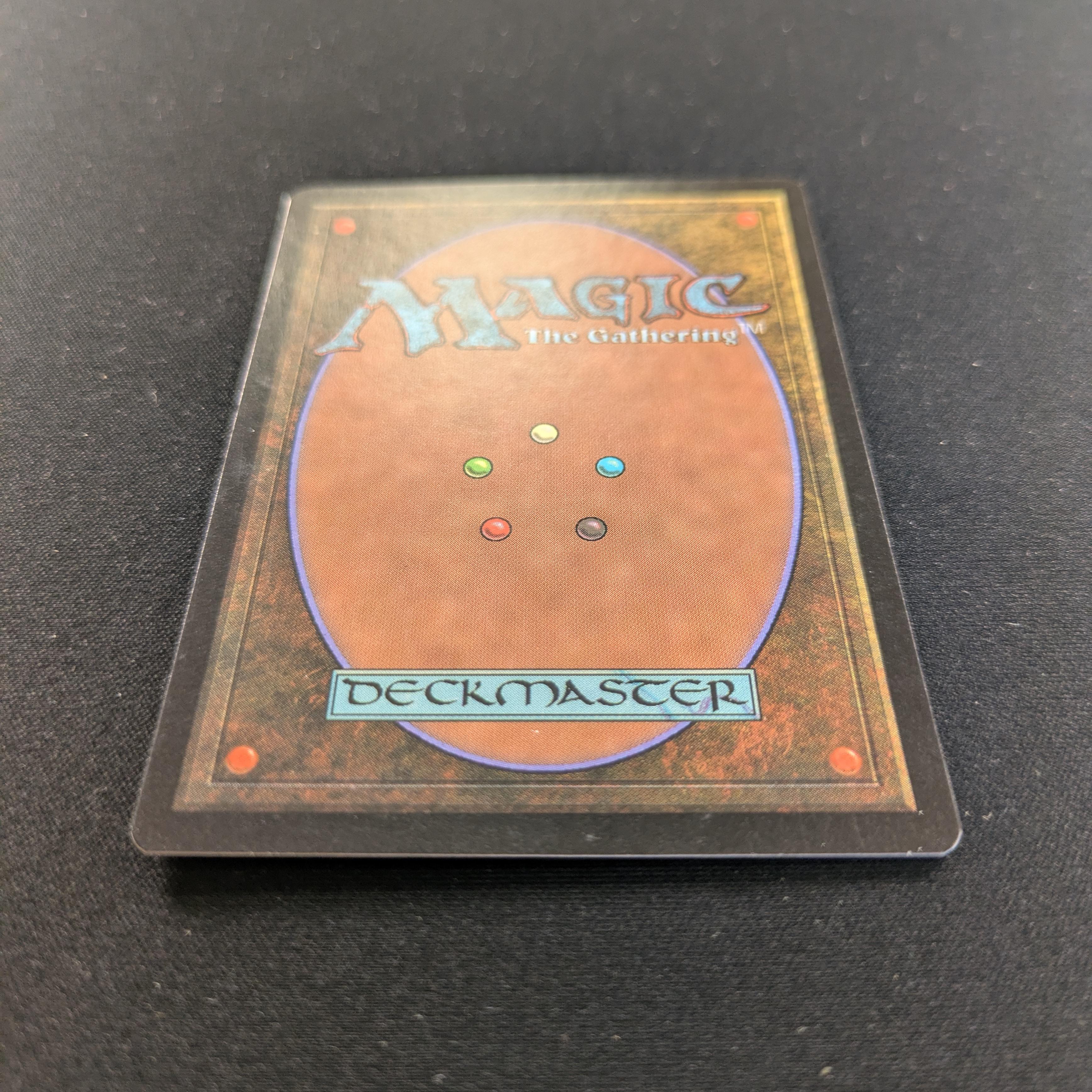 MTG Singles - Swamp - Guru Lands - EX - 