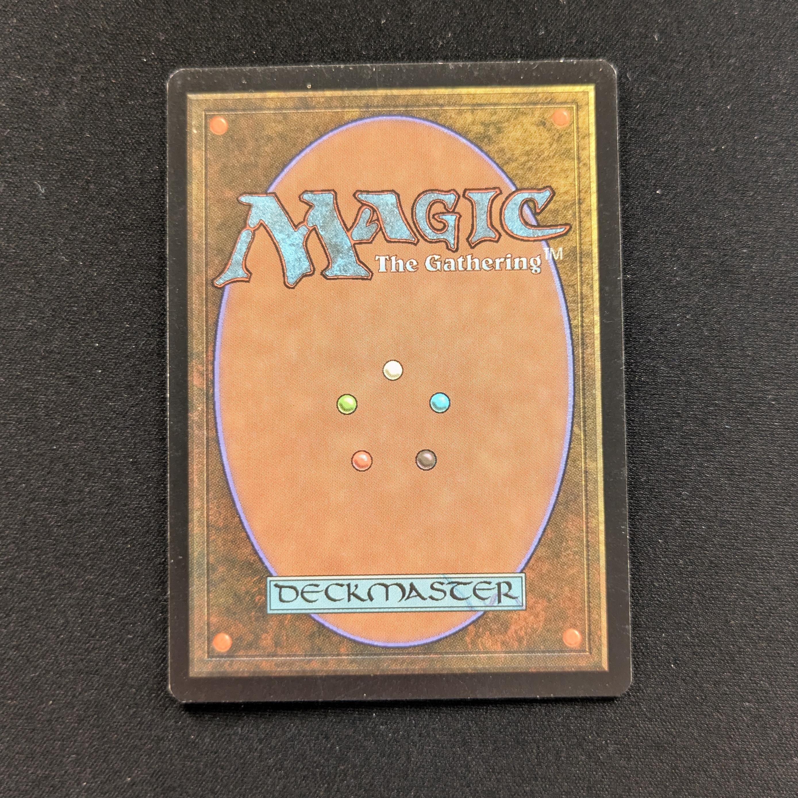 MTG Singles - Mountain - Guru Lands - EX - 