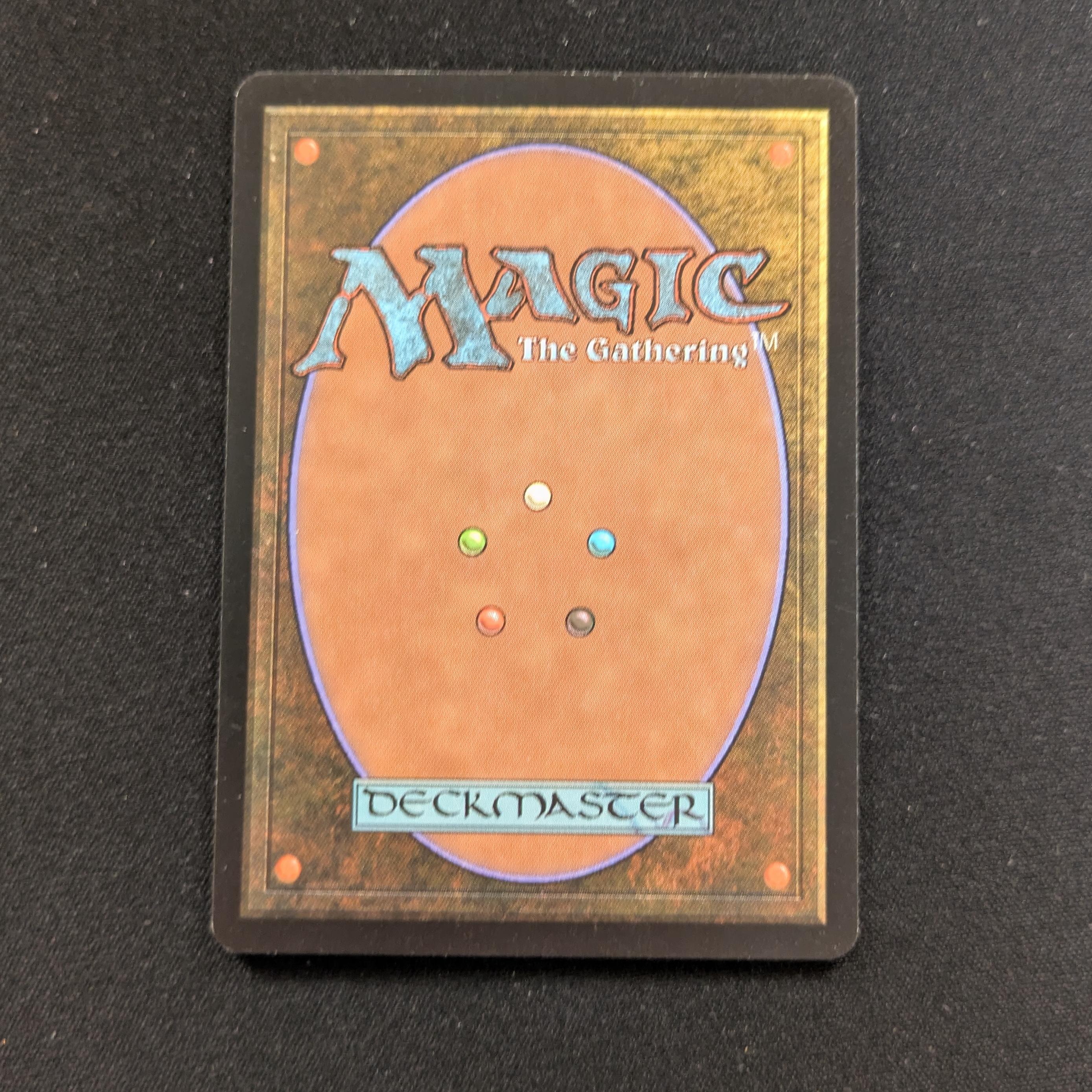 MTG Singles - Forest - Guru Lands - EX - 