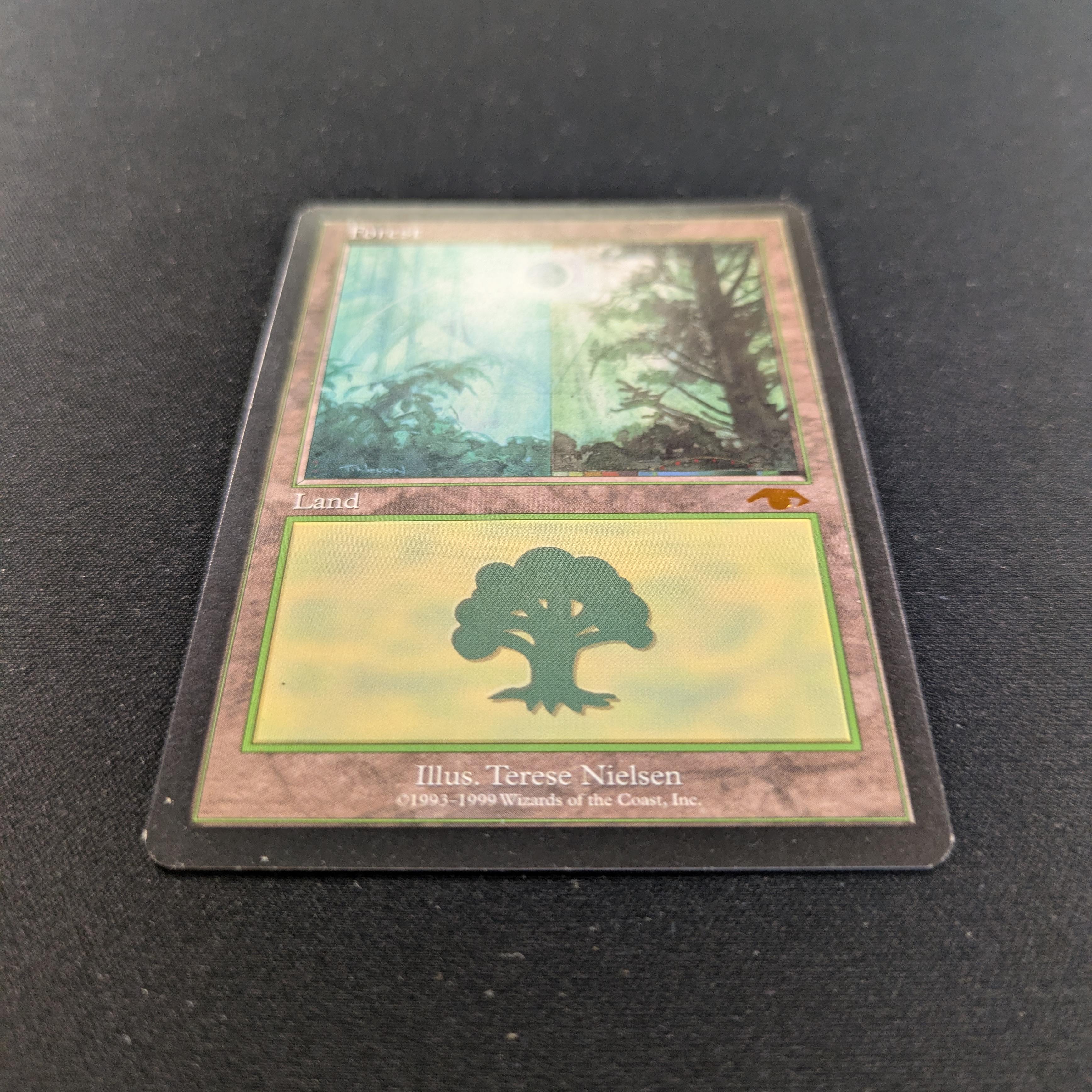MTG Singles - Forest - Guru Lands - EX - 