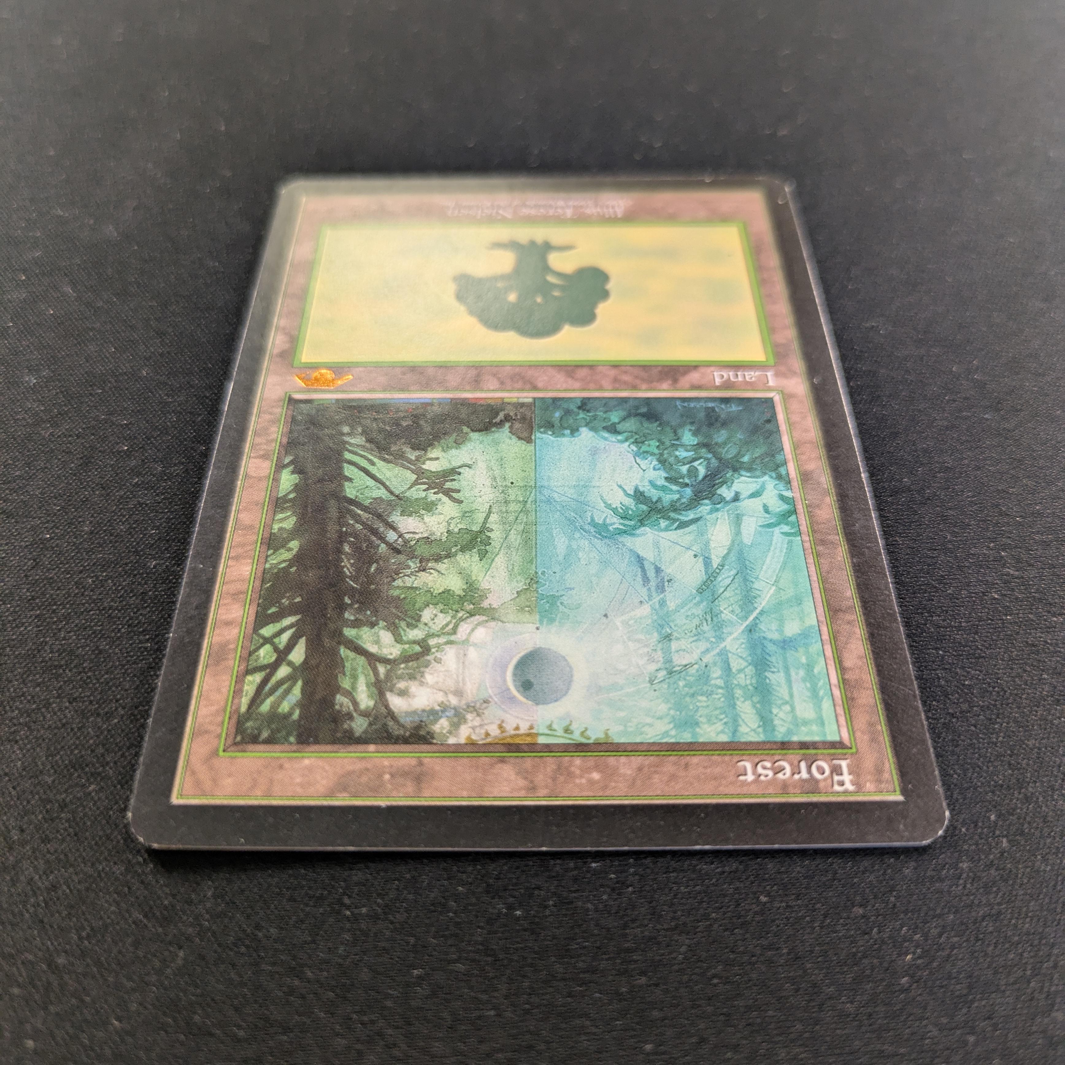 MTG Singles - Forest - Guru Lands - EX - 