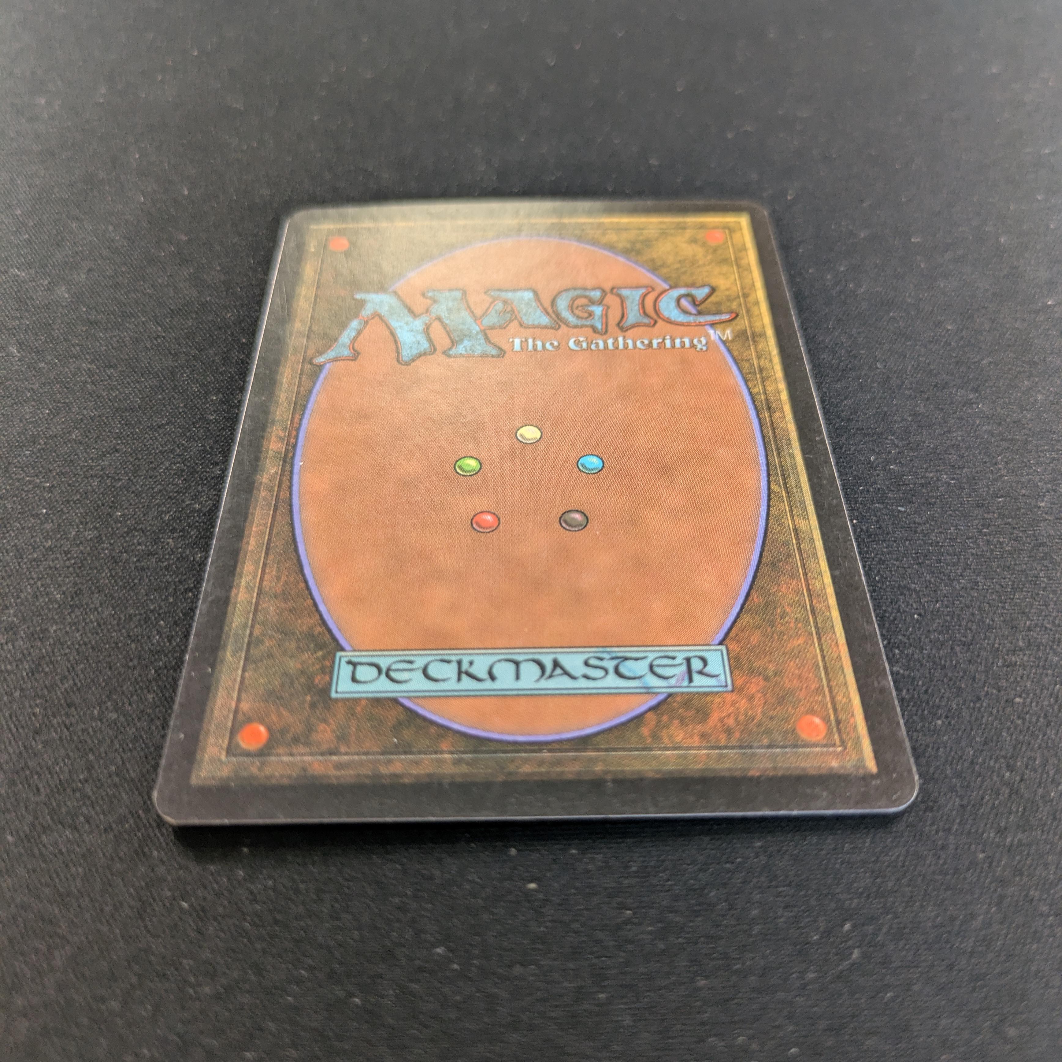 MTG Singles - Forest - Guru Lands - EX - 