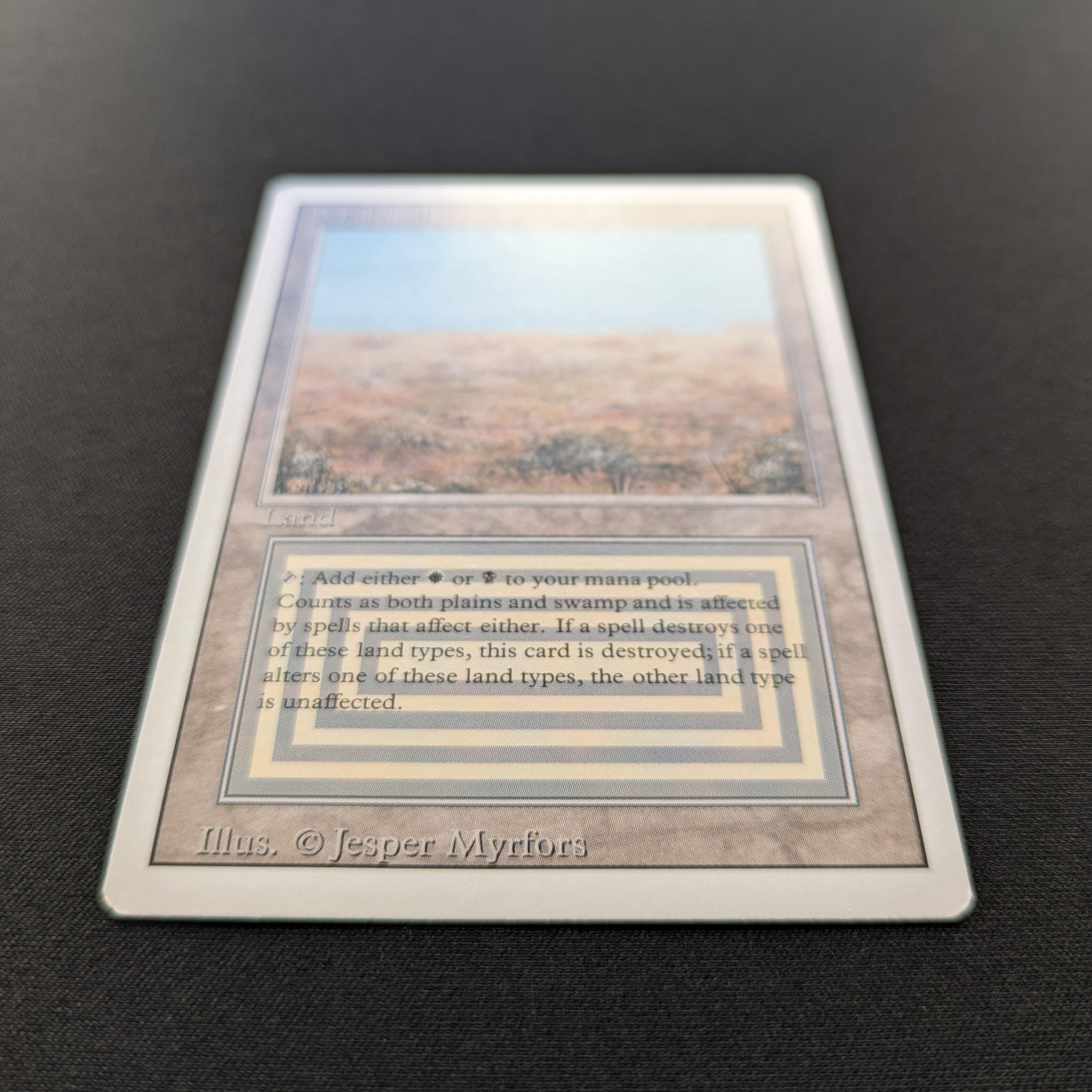 Scrubland - Revised