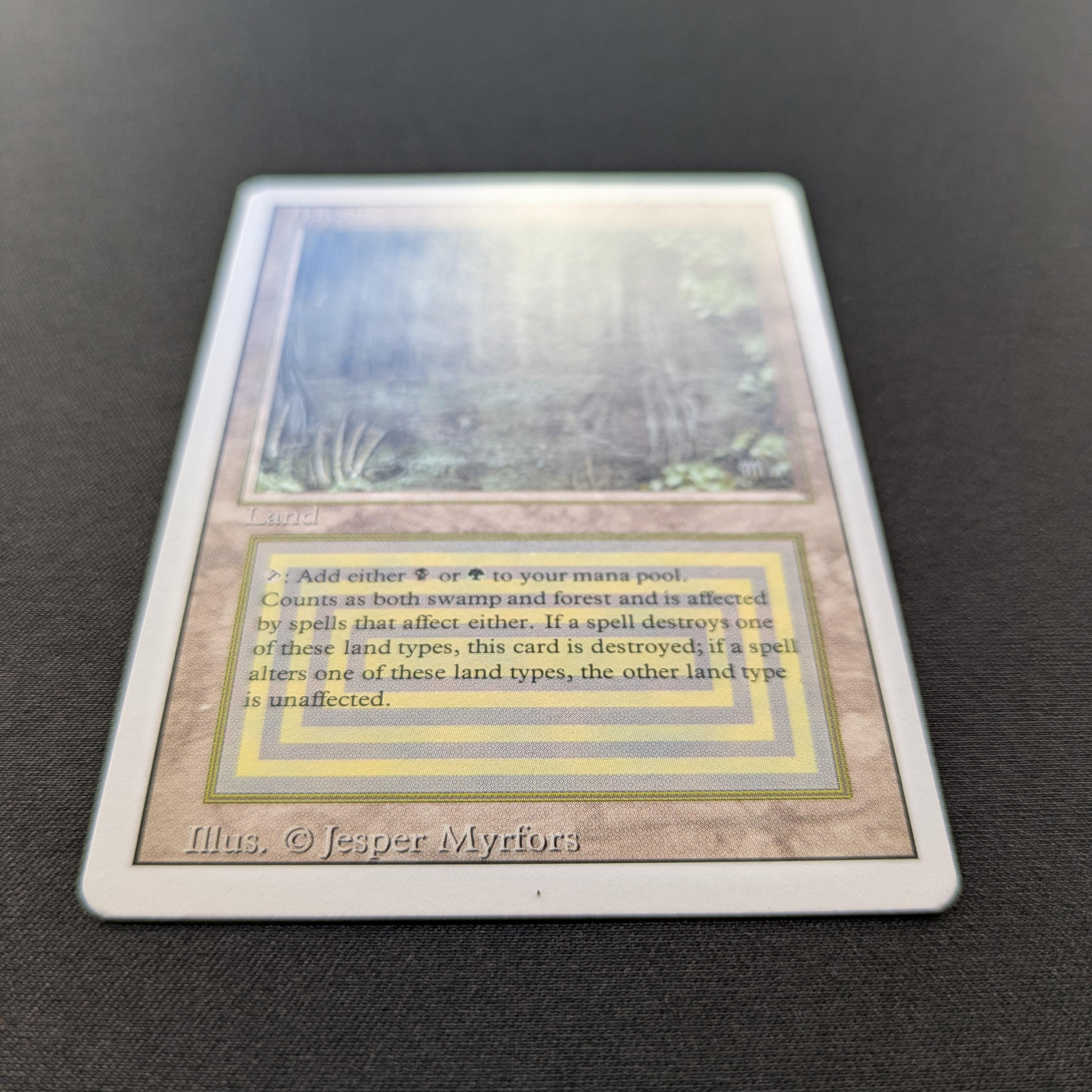 MTG Singles - Bayou - Revised - 