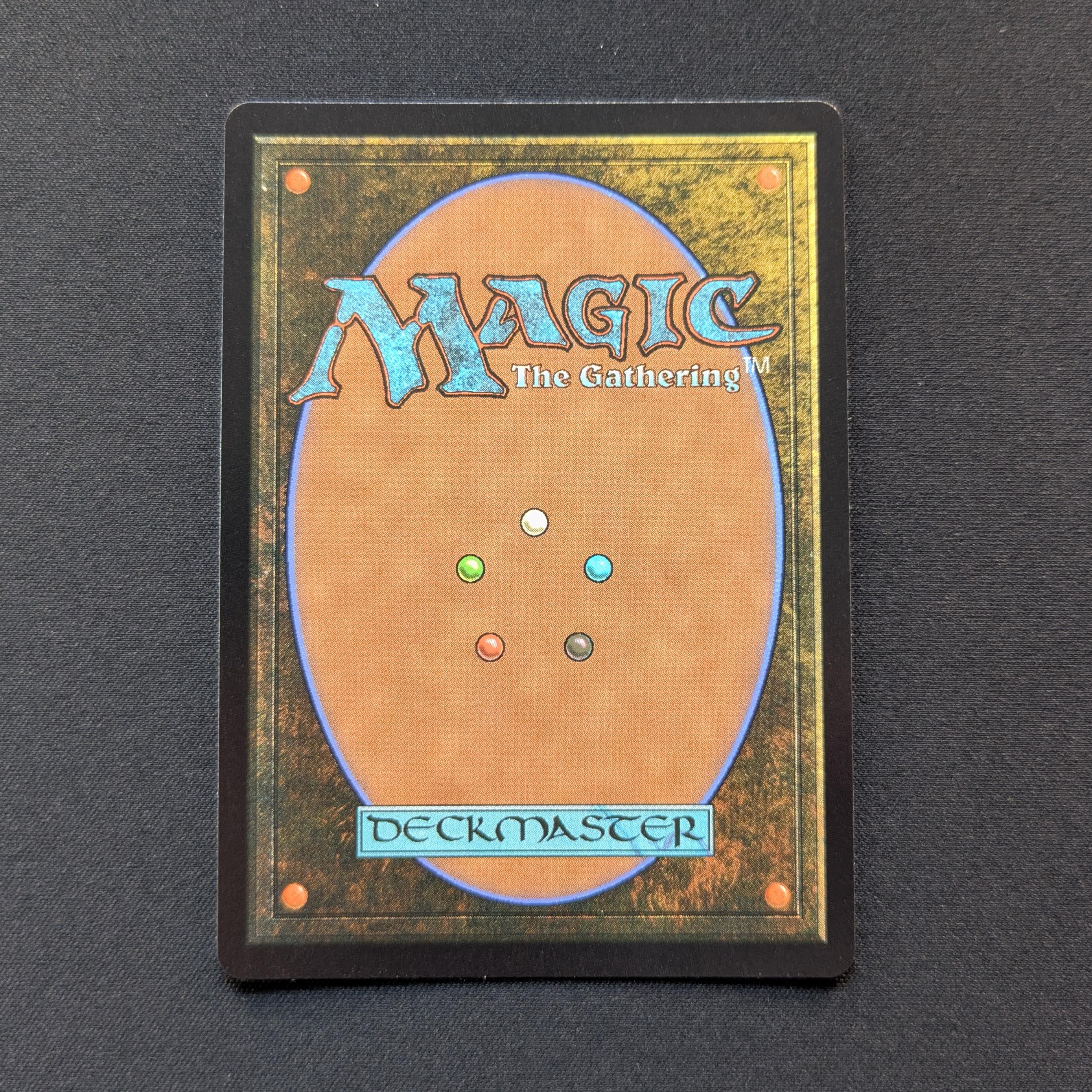 MTG Singles - [FOIL] Baylen, the Haymaker (Raised Foil) - Bloomburrow: Extras - EX - 