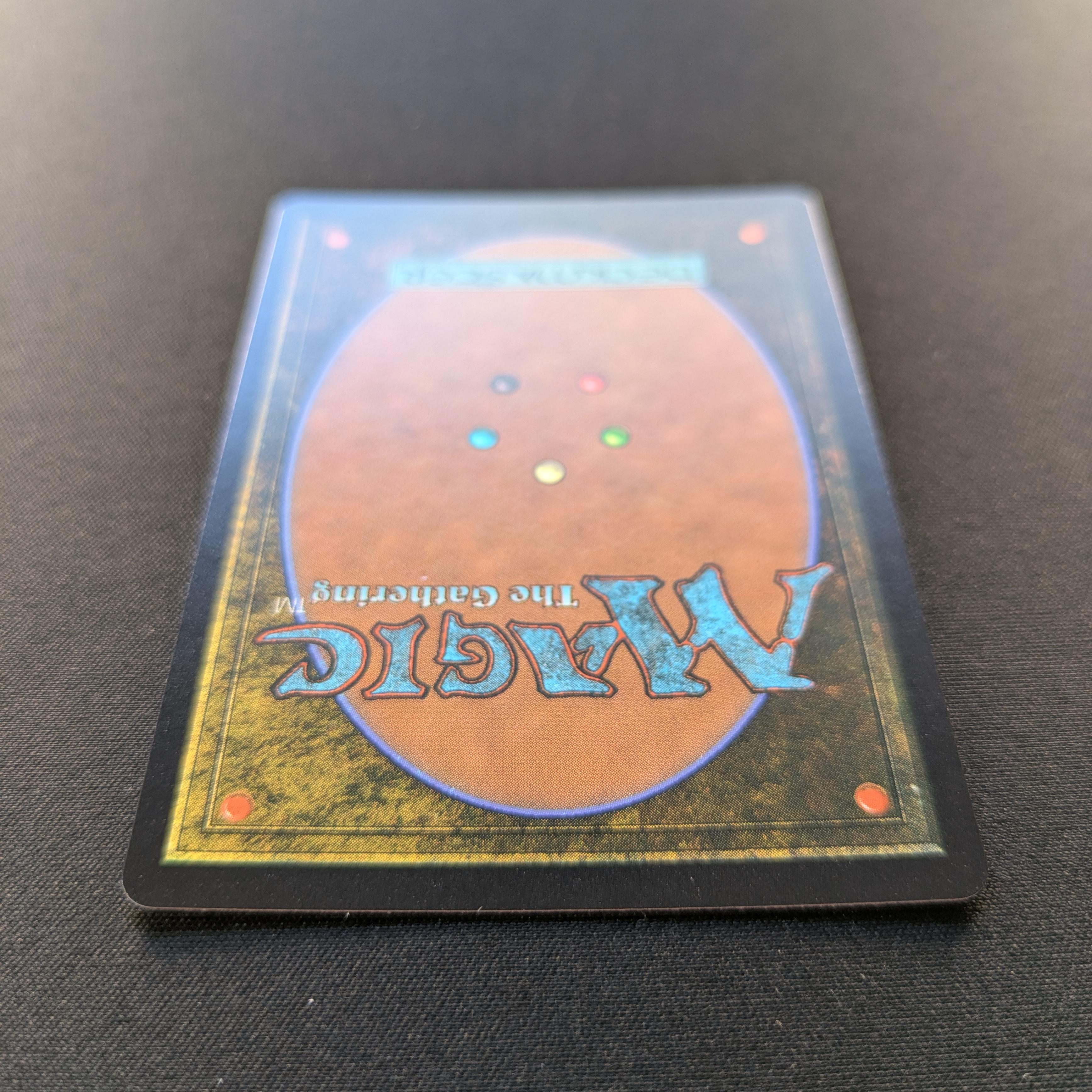 MTG Singles - [FOIL] Baylen, the Haymaker (Raised Foil) - Bloomburrow: Extras - EX - 