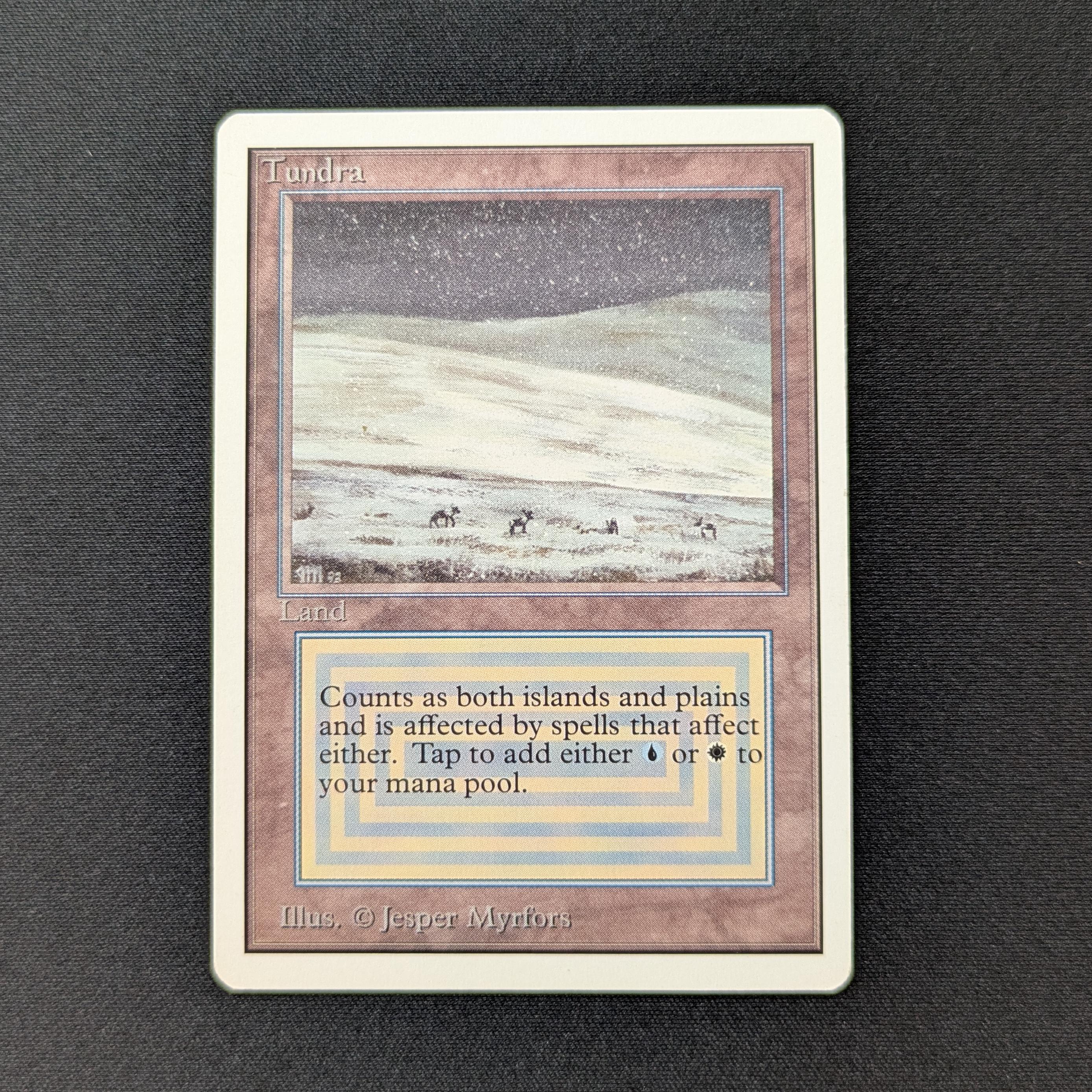 MTG Singles - Tundra - Unlimited - GD - 28558