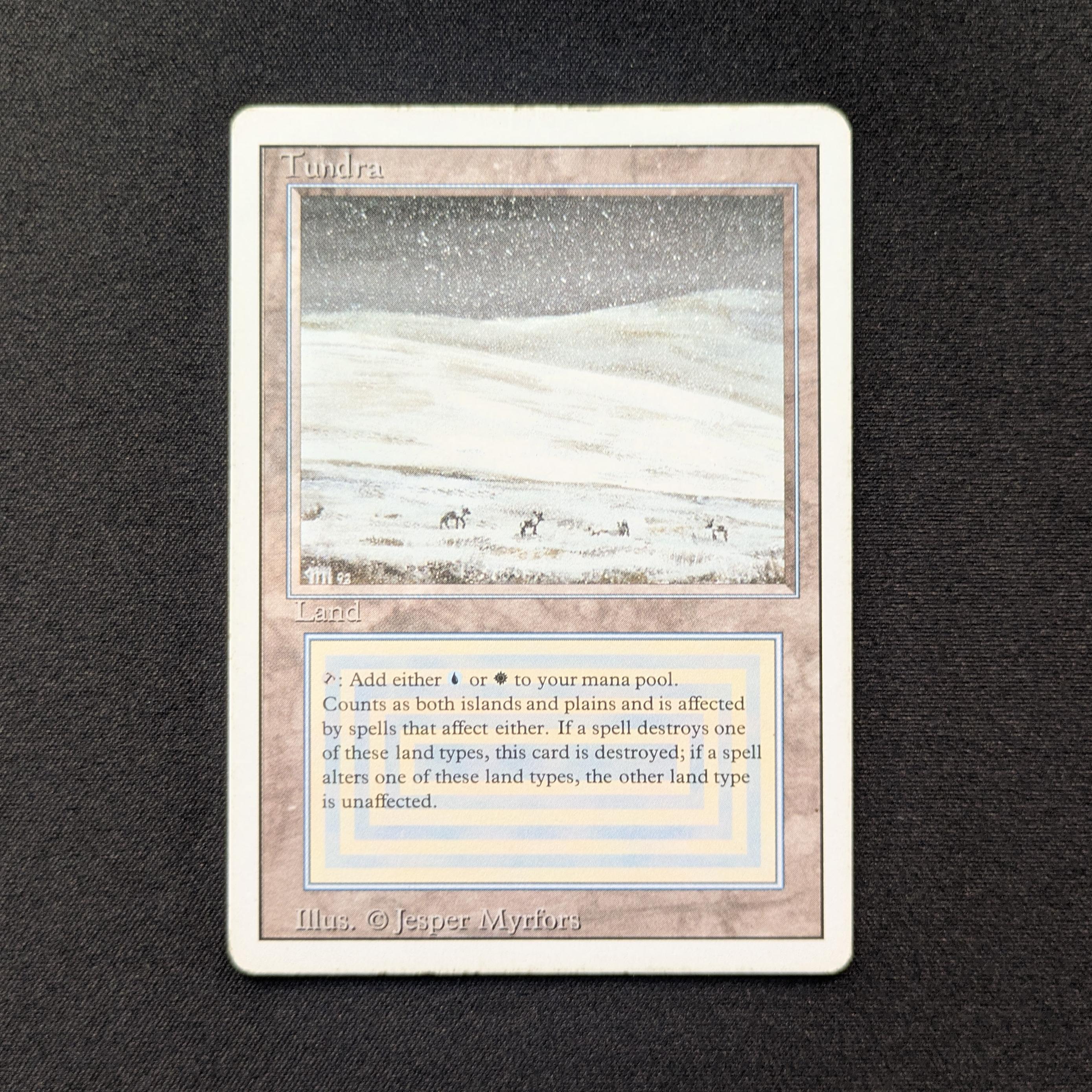 28586_1.jpg?v=1761746362&width