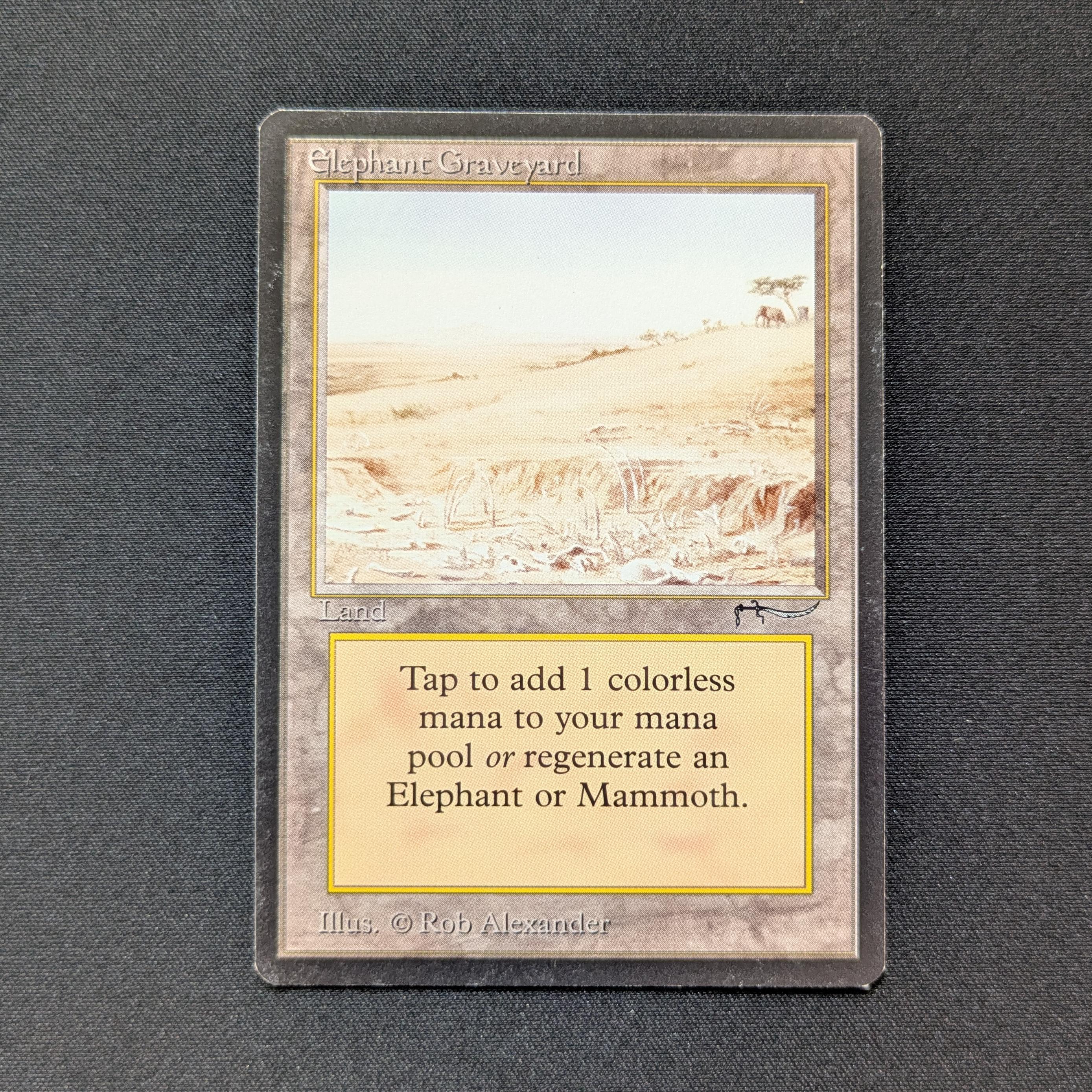 Elephant Graveyard - Arabian Nights