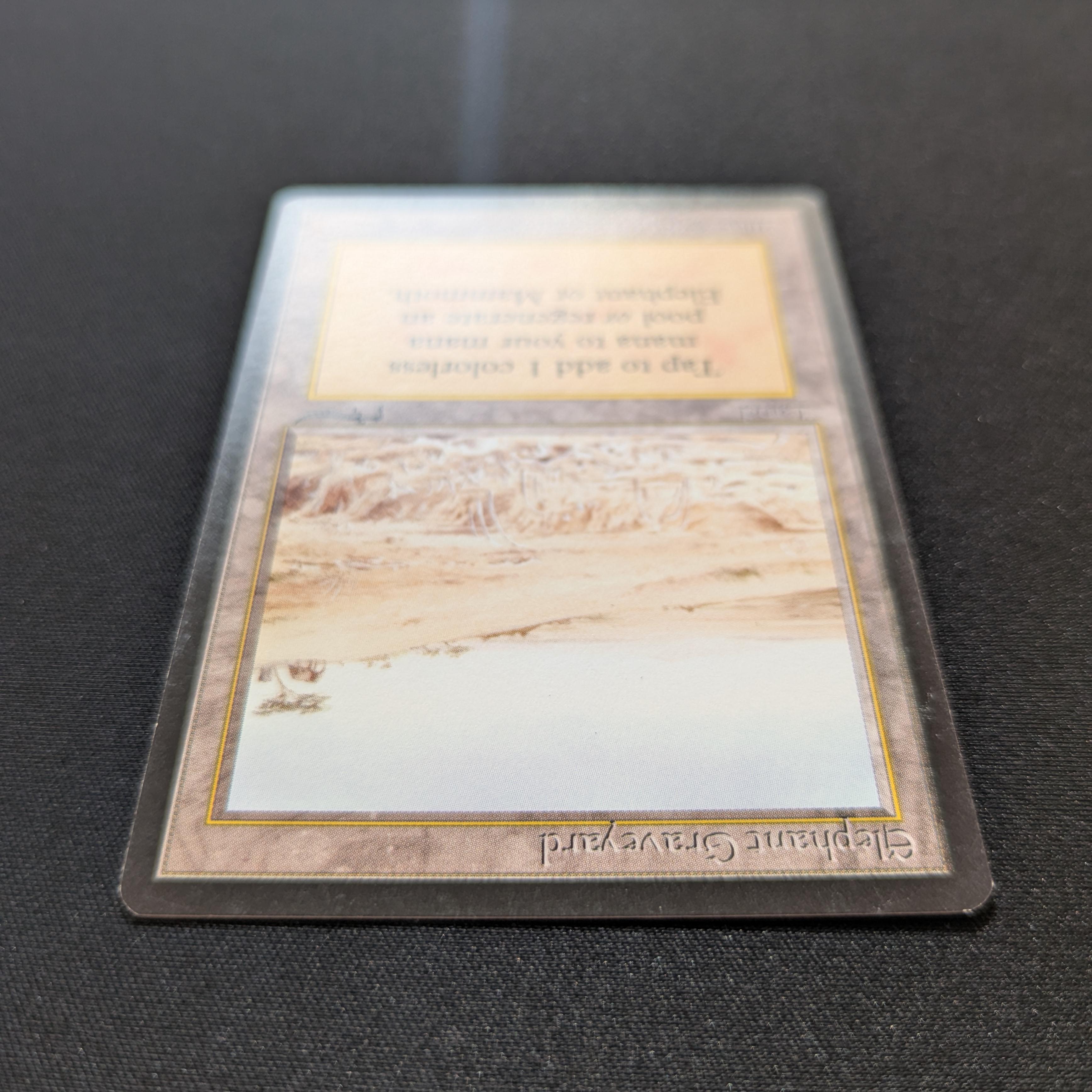 Elephant Graveyard - Arabian Nights