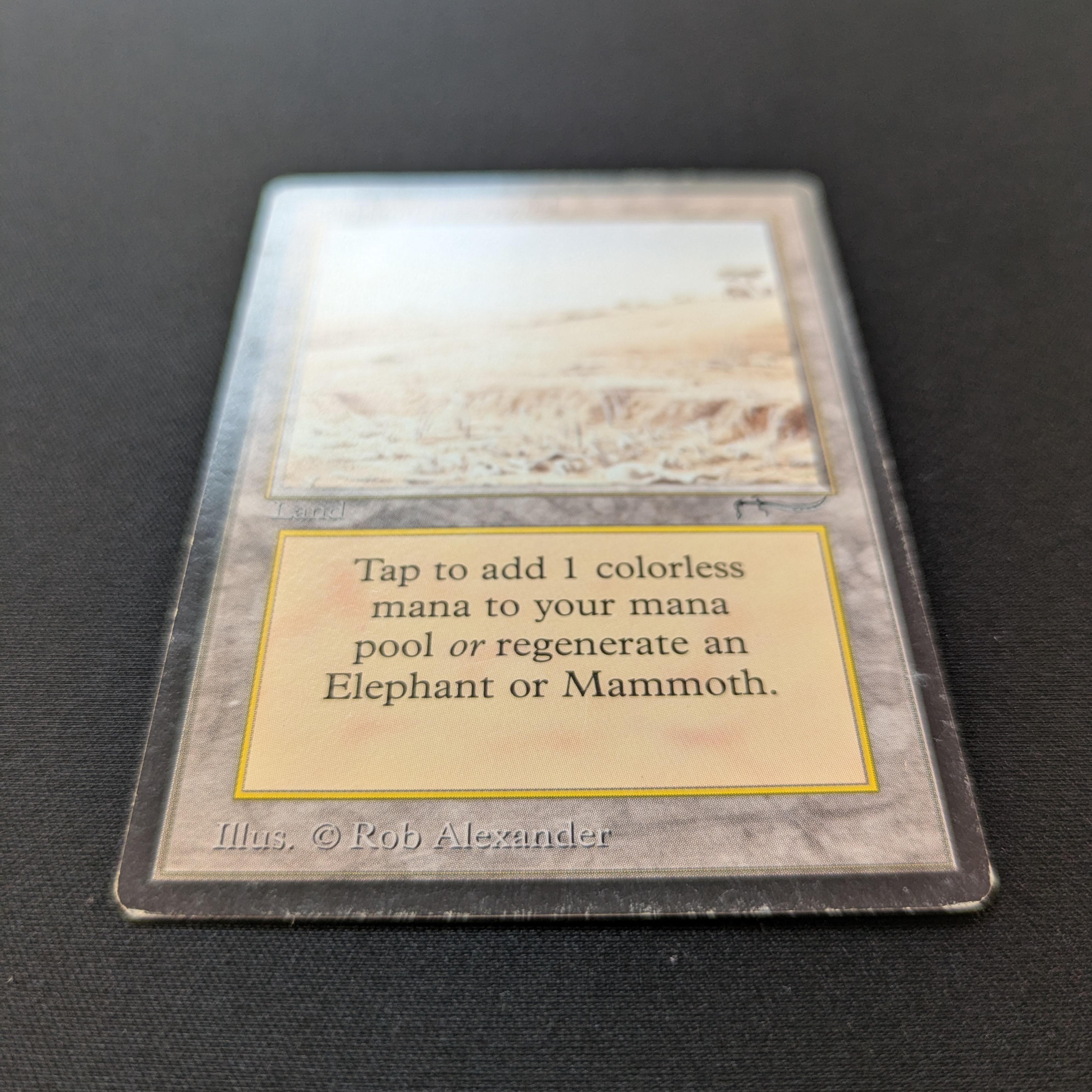 Elephant Graveyard - Arabian Nights