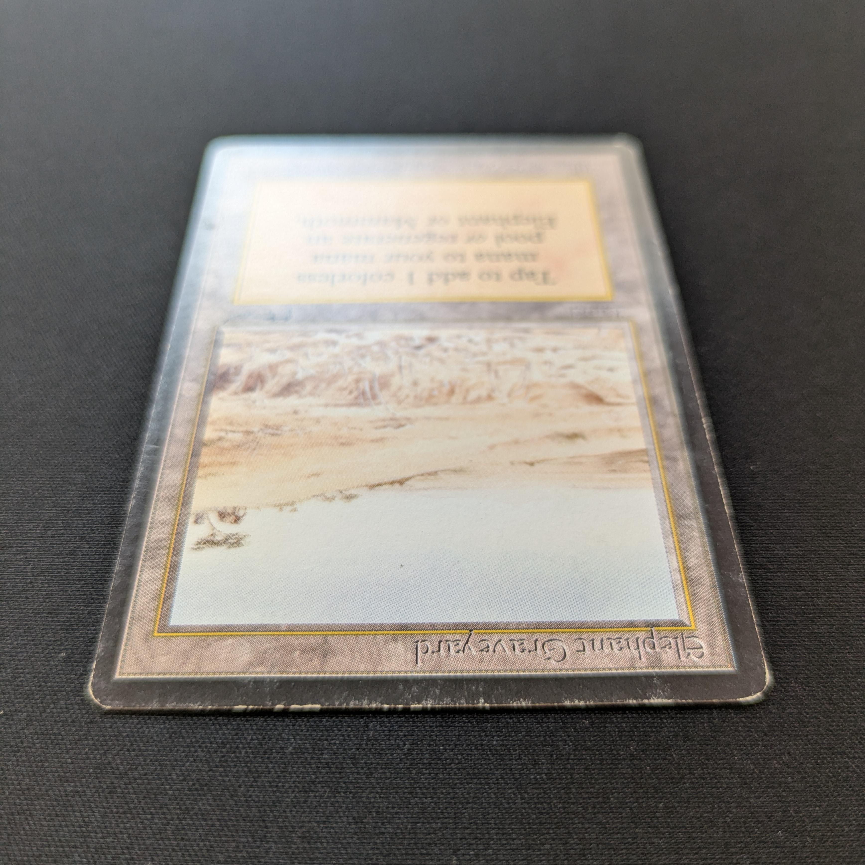Elephant Graveyard - Arabian Nights