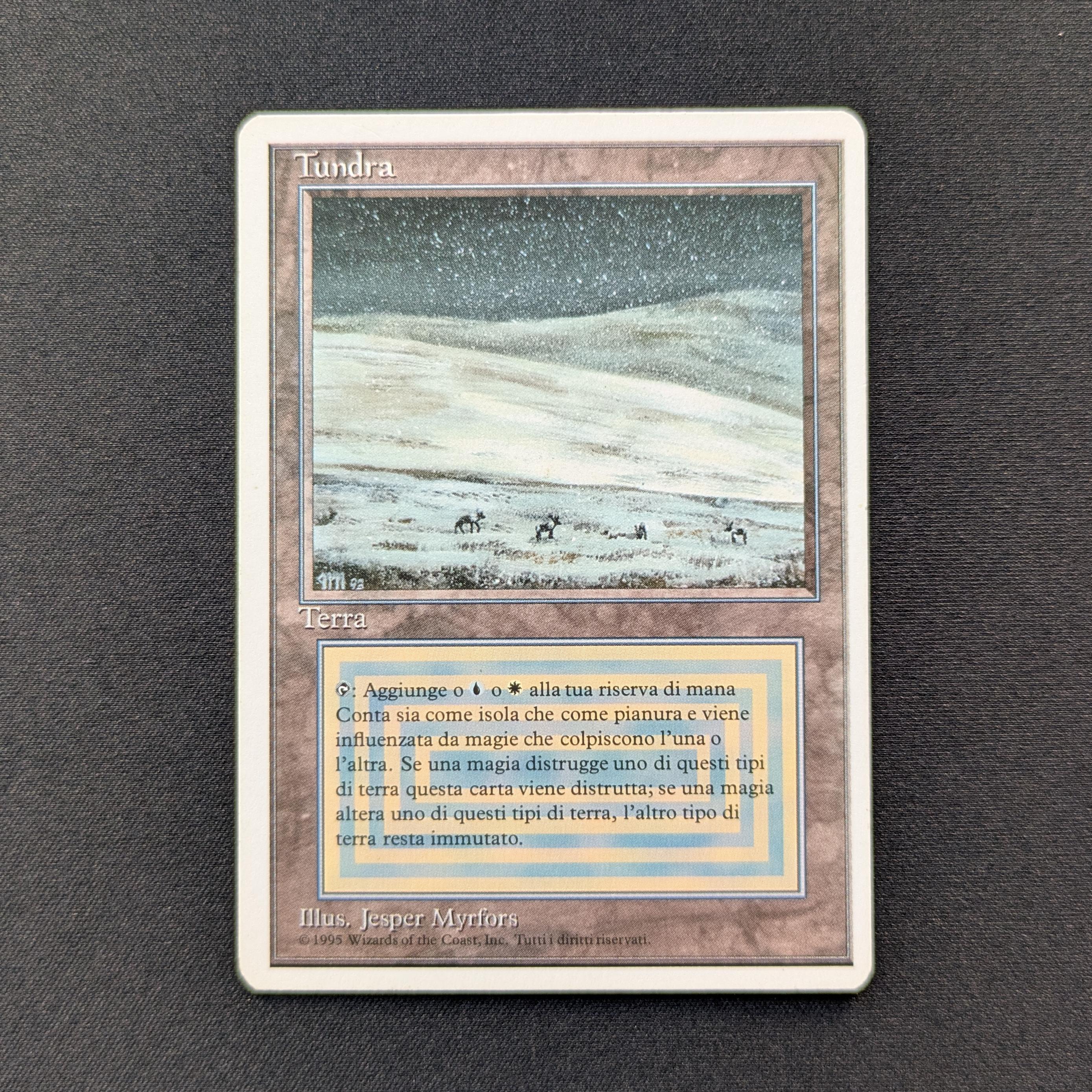 MTG Singles - Tundra - Foreign White Bordered - Italian - GD - 28683