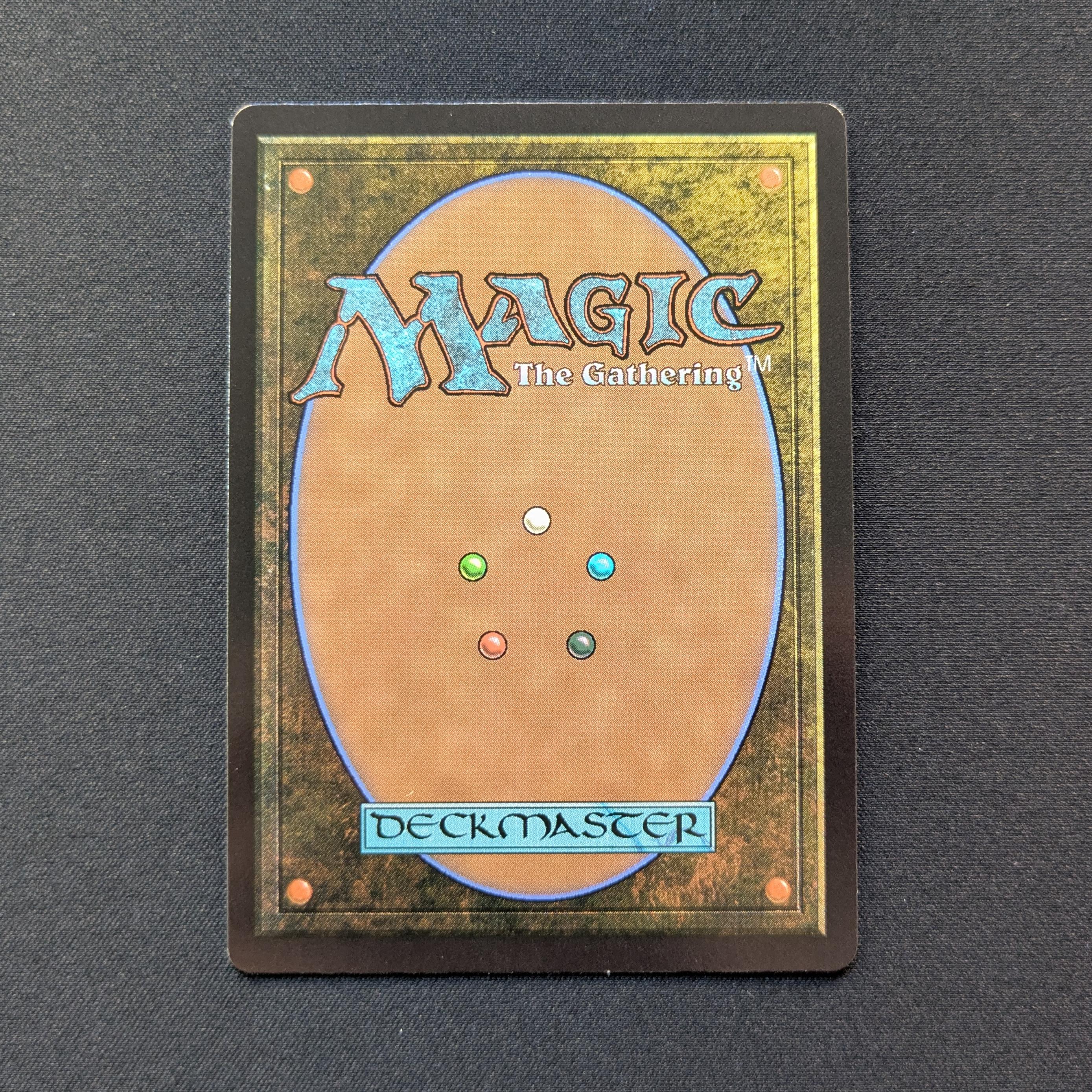 MTG Singles - [FOIL] Misty Rainforest (Dragonscale Foil) - Special Guests - NM - 