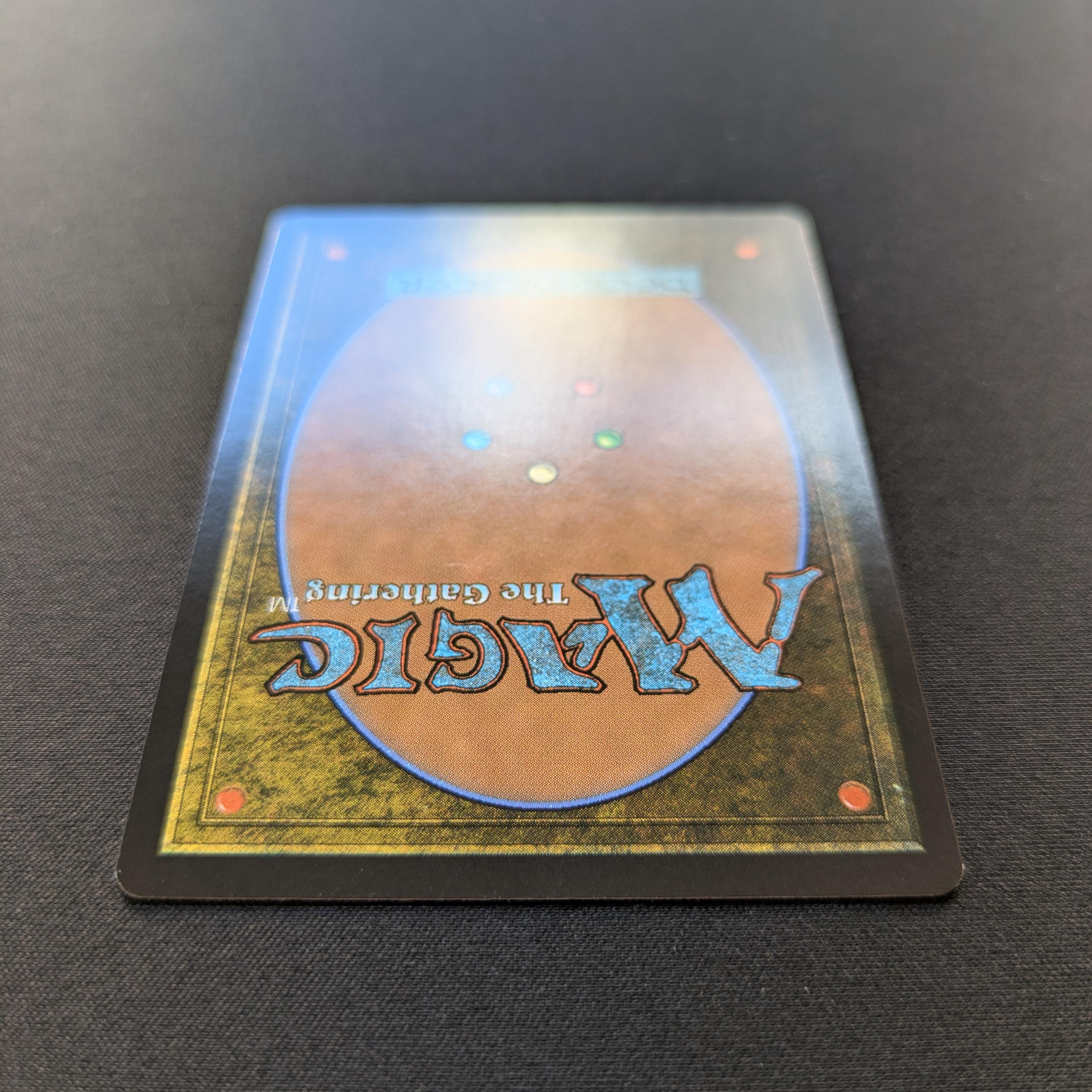 MTG Singles - [FOIL] Misty Rainforest (Dragonscale Foil) - Special Guests - NM - 