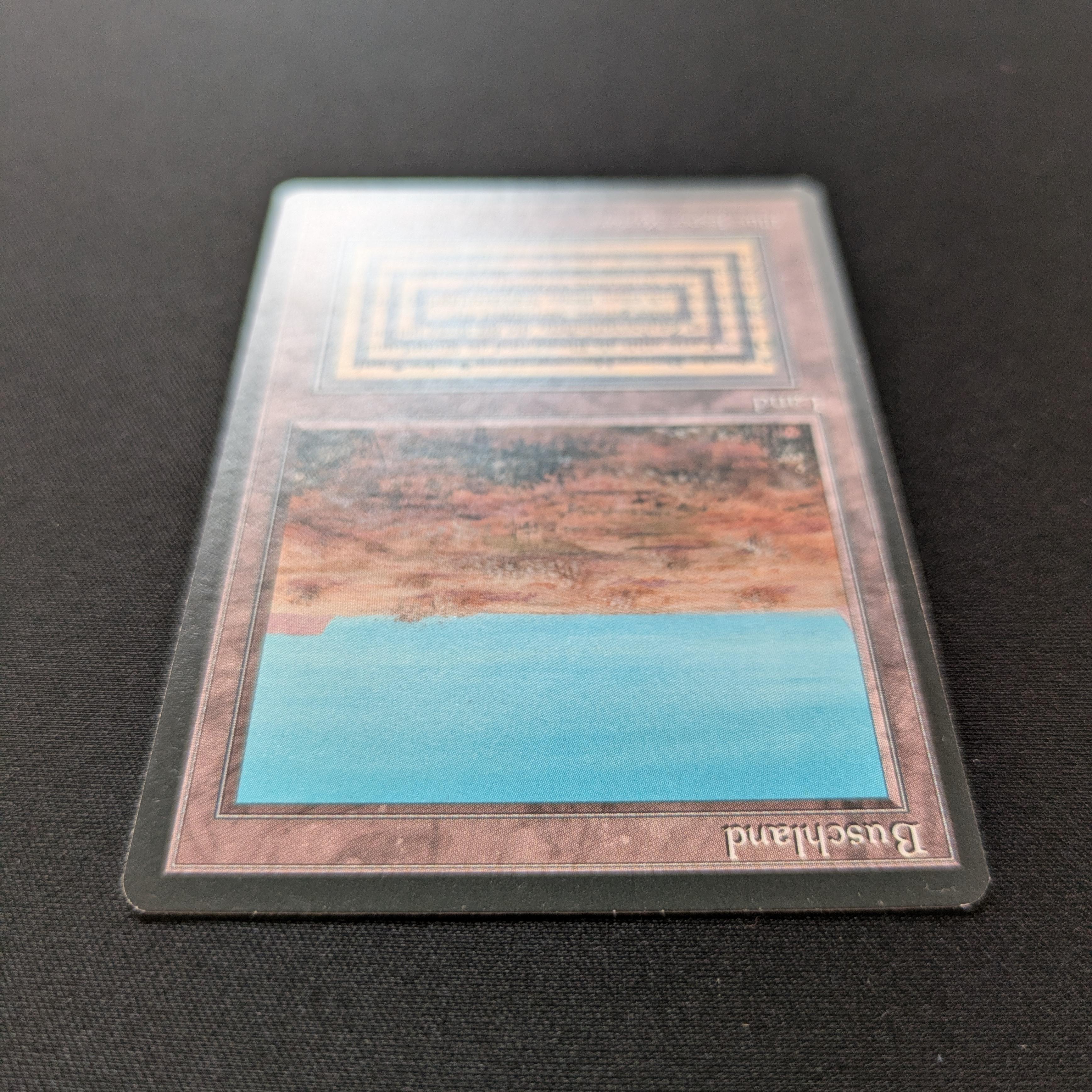 MTG Singles - Scrubland - Foreign Black Bordered - 