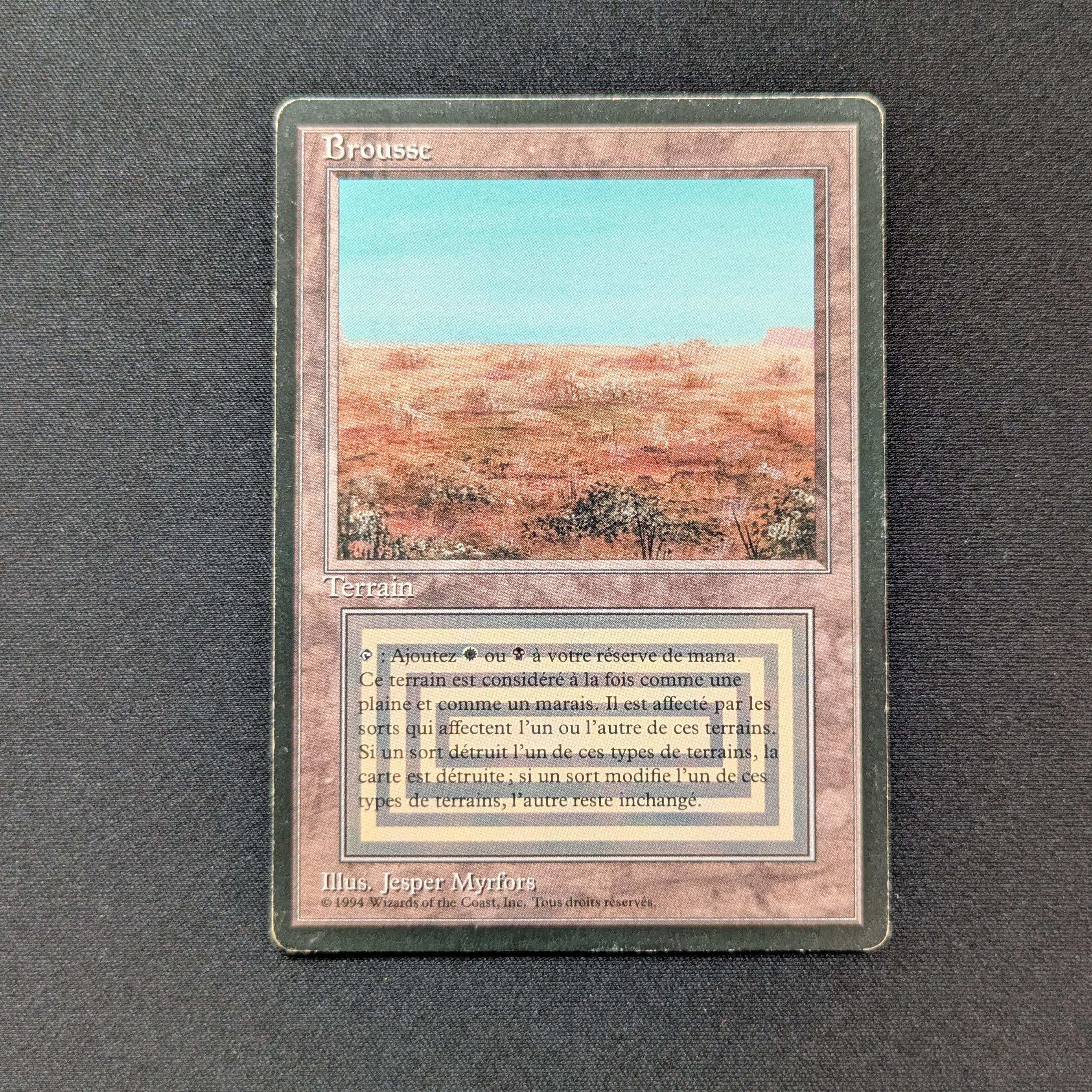 MTG Singles - Scrubland - Foreign Black Bordered - French - PL - INKED - 28734