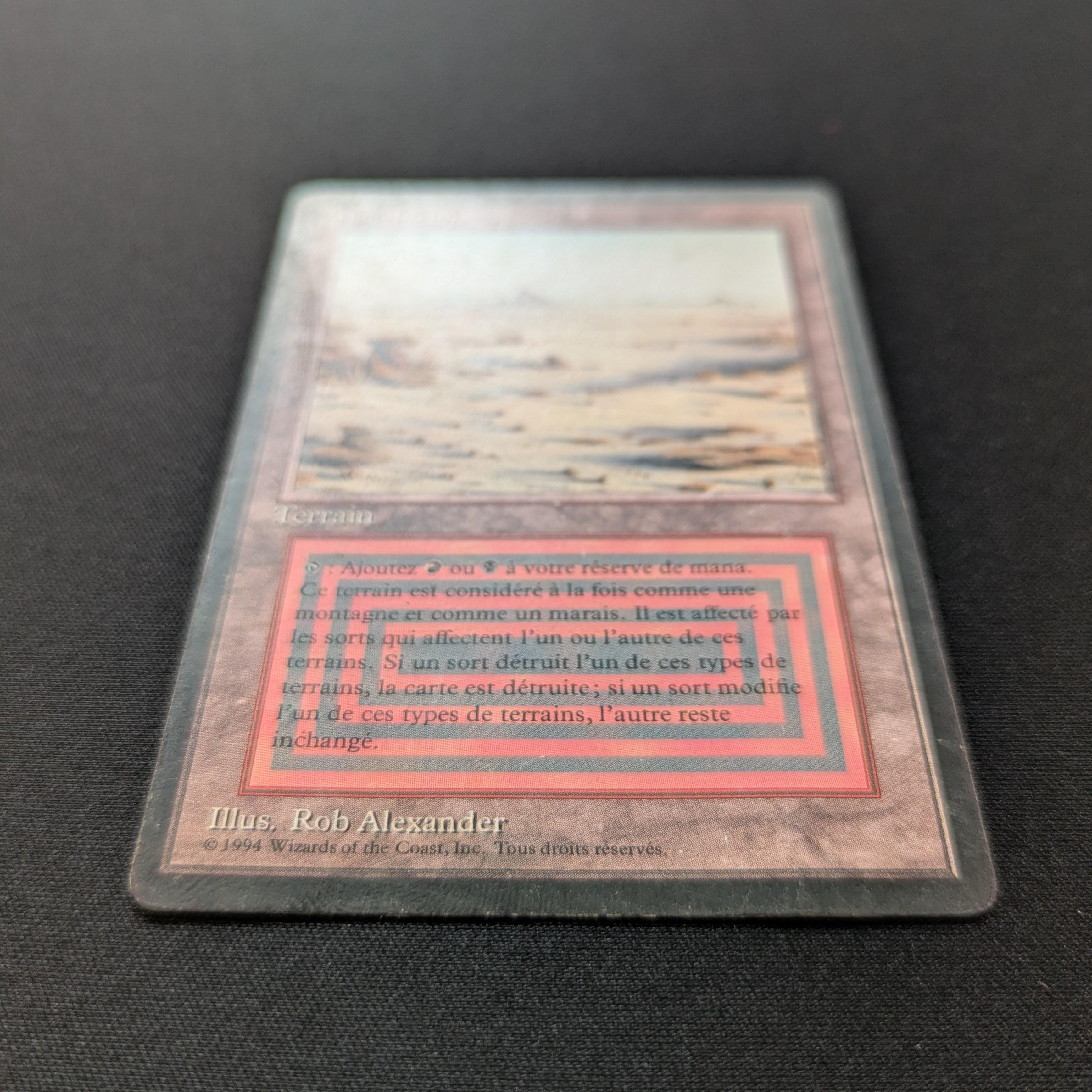 MTG Singles - Badlands - Foreign Black Bordered - 