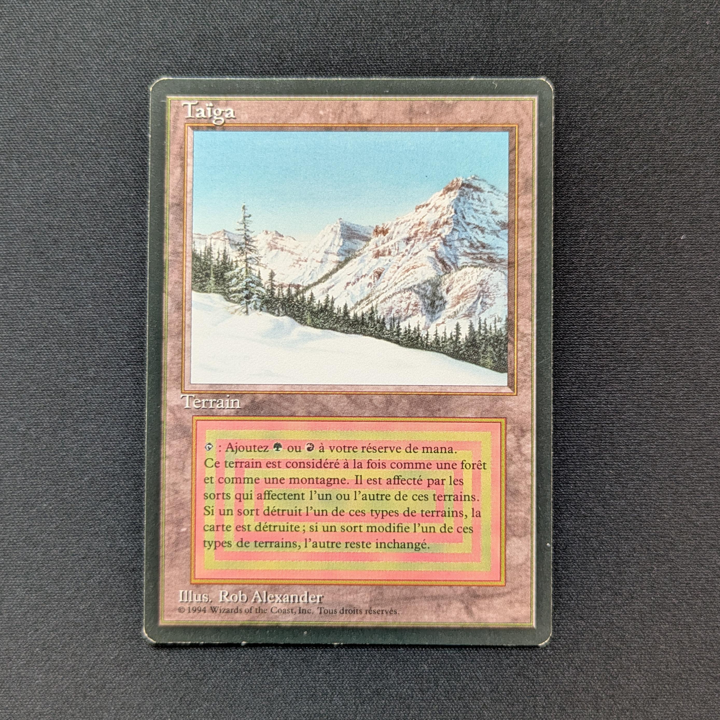 MTG Singles - Taiga - Foreign Black Bordered - 